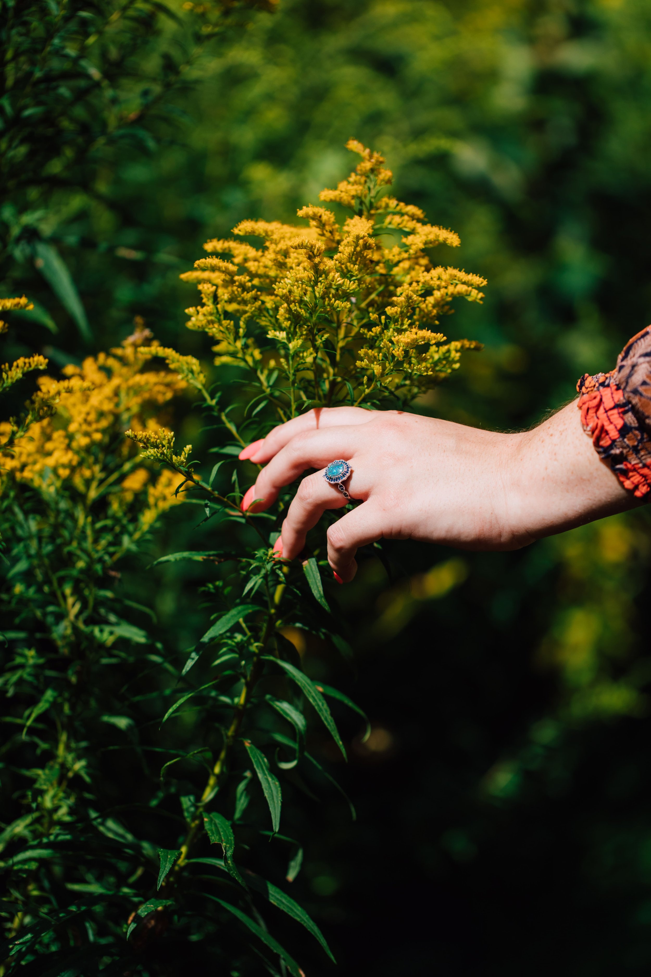 katie rests her hand in front of some growing goldenrod to show her engagement ring during a session with central ny photographer at rice creek field station 