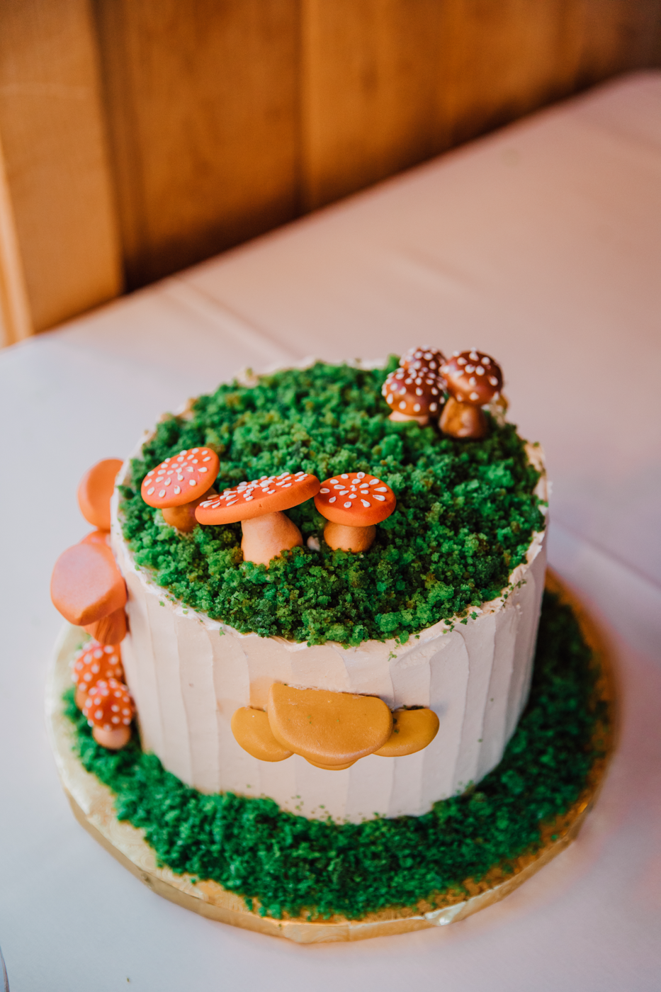  One-tier mushroom wedding cake with grass detail by Ithaca Bakery 