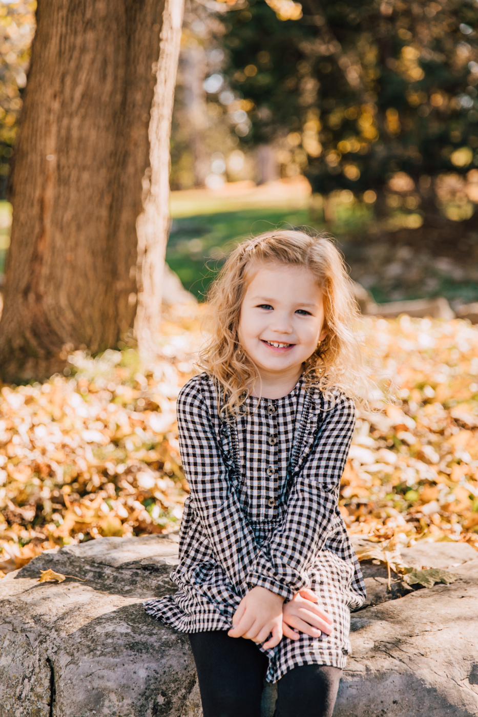  Little girl sits on a rock at Upper Onondaga Park during fall family photos with Brittany Juravich Photography 