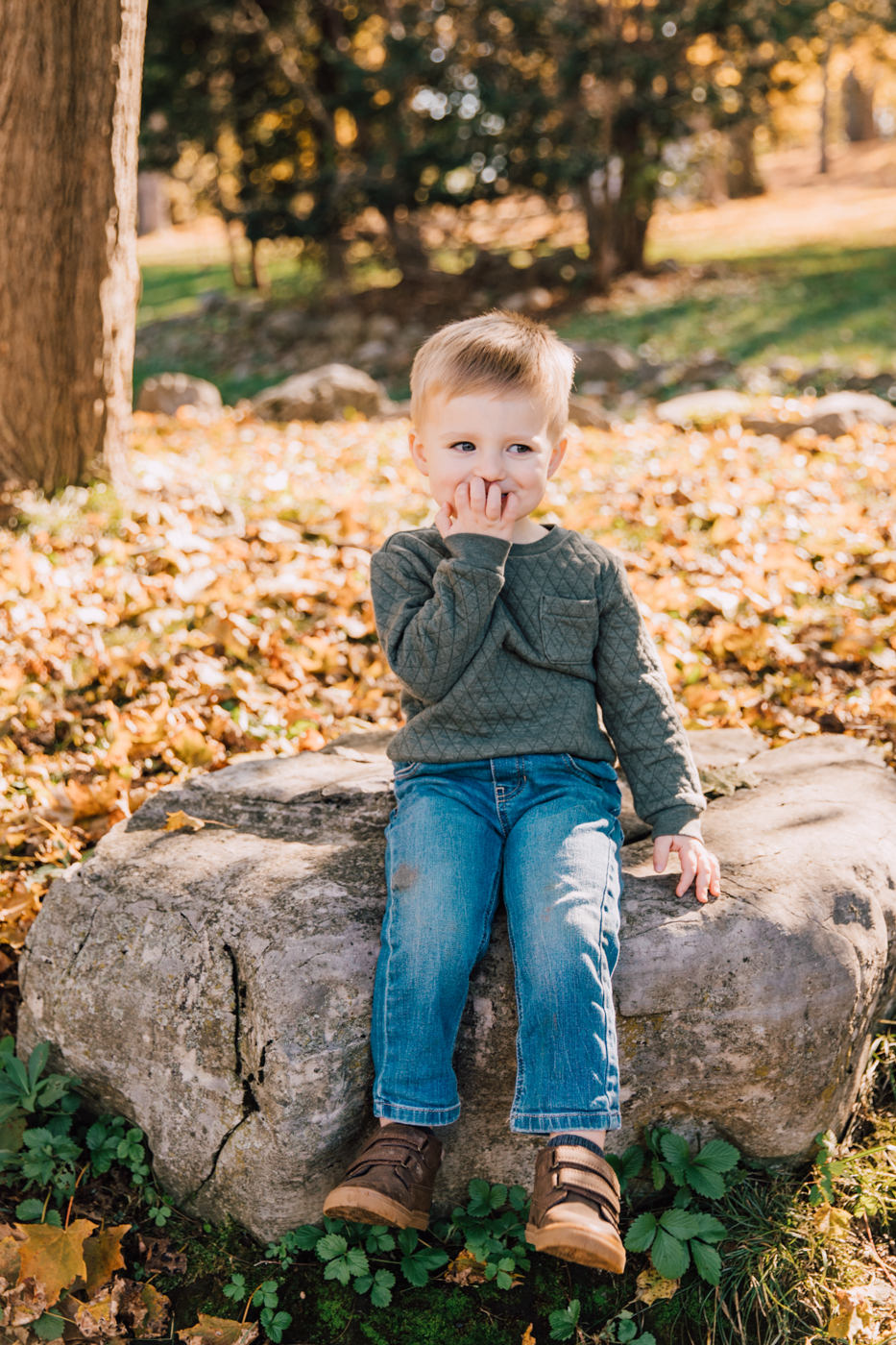  Little boy giggles while sitting on a rock at Upper Onondaga Park during fall family photos 