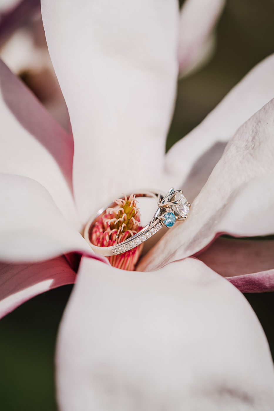  engagement ring nestled inside a cherry blossom flower 