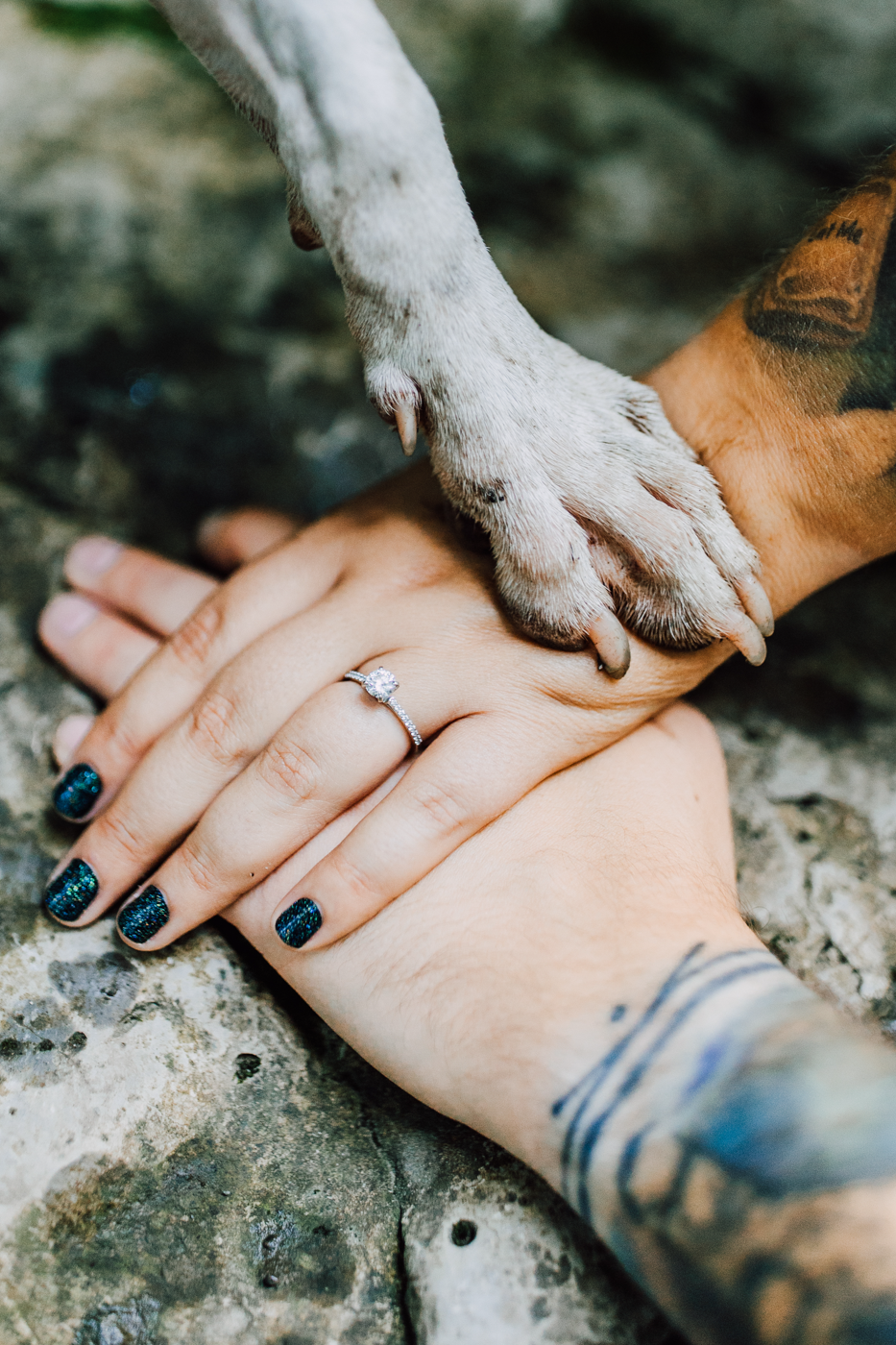  Closeup of an engaged couple’s hands and their dog’s paw stacked on top of each other during dog engagement photos in Central NY 
