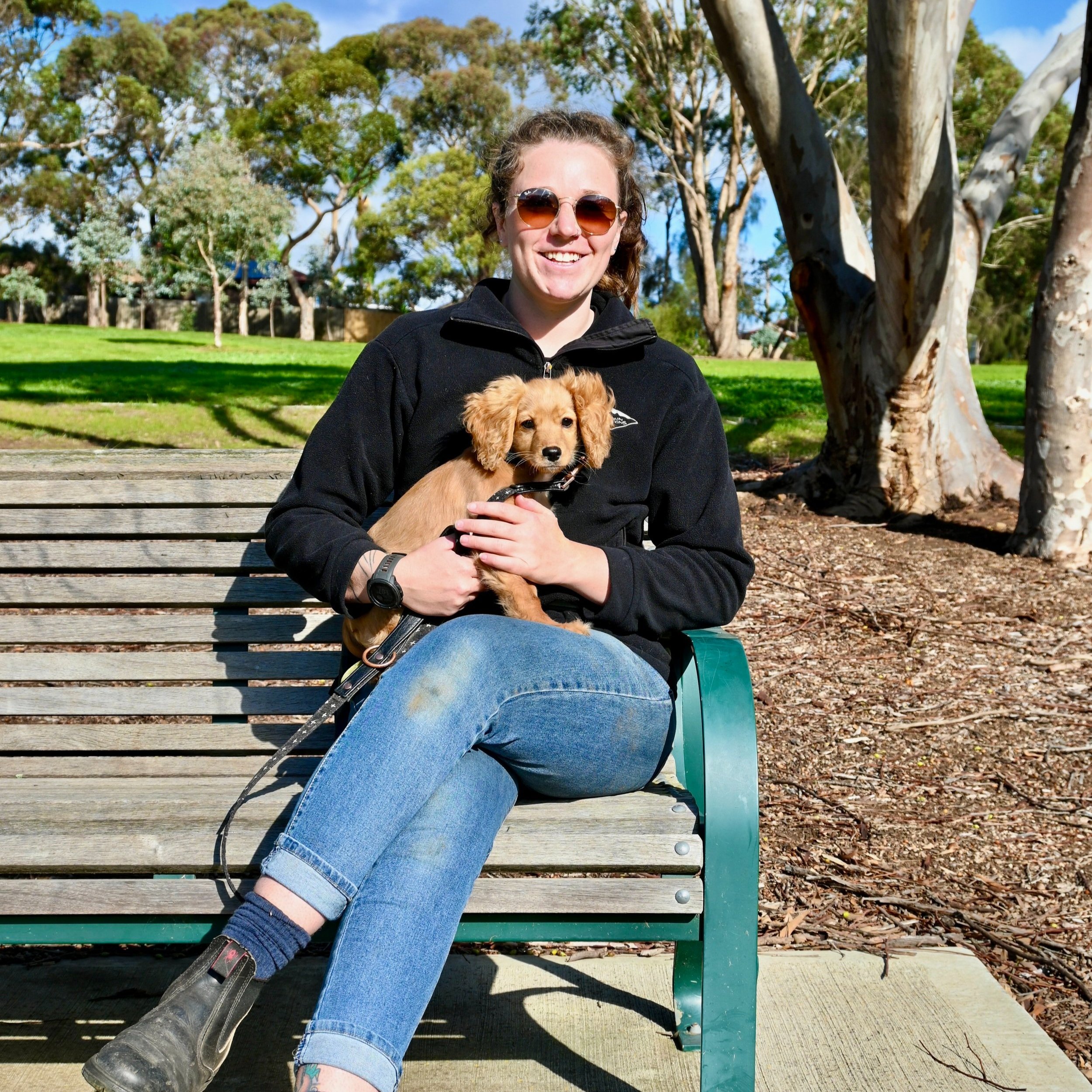 Rock Dog Training For rock solid dogs