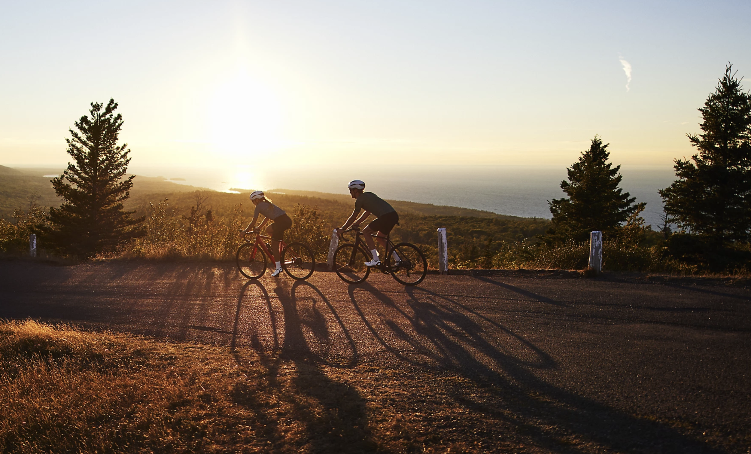 Screen Shot 2022-10-24 at 5.42.15 PM.png