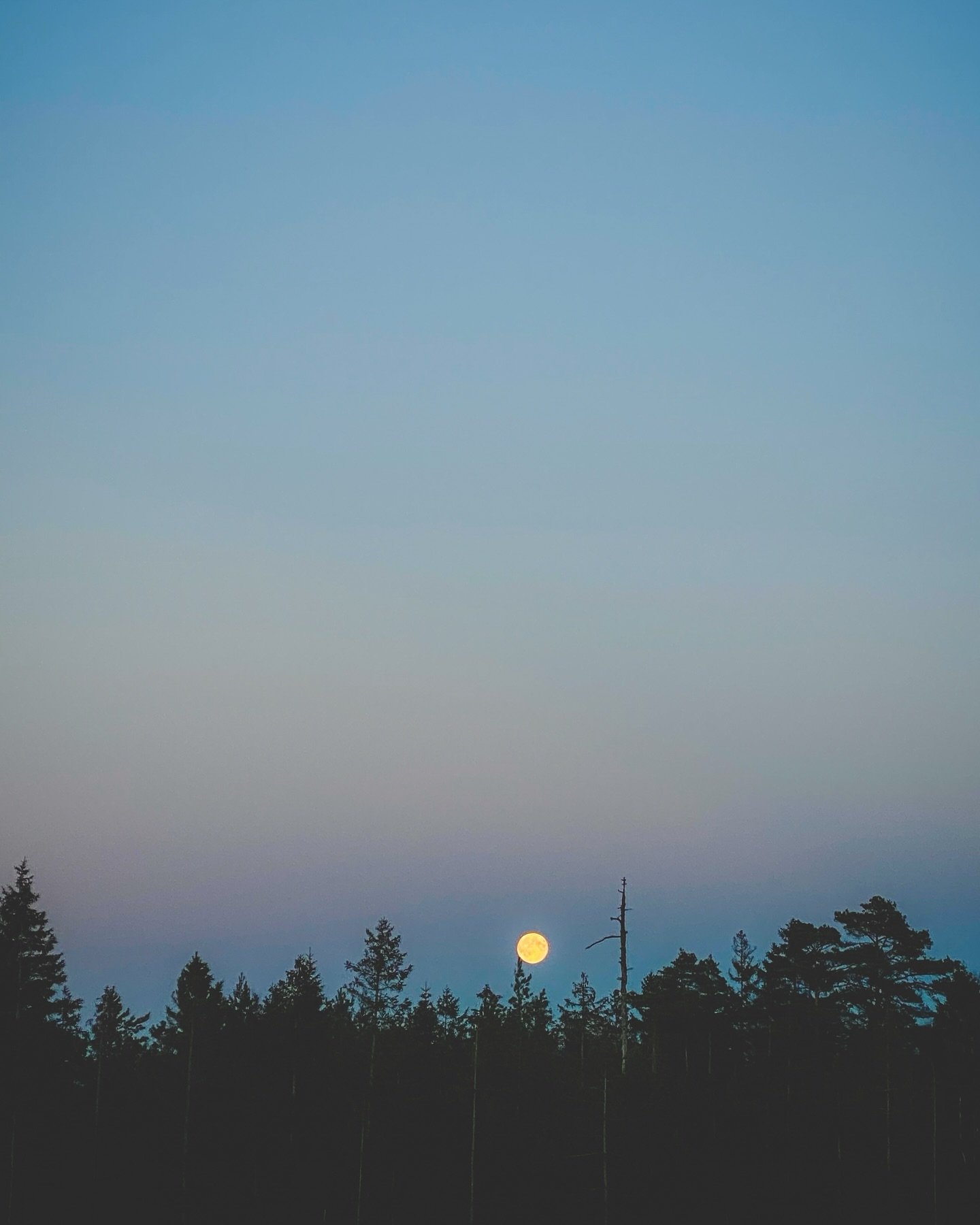 Life lately ✨

1. Halloween full moon at 4pm.
2. The sunsets lately have been elite. My view from where I currently live.
3. My current living space while waiting for my home to be rebuilt.
4. Spending as much time as I can with this guy. He still li