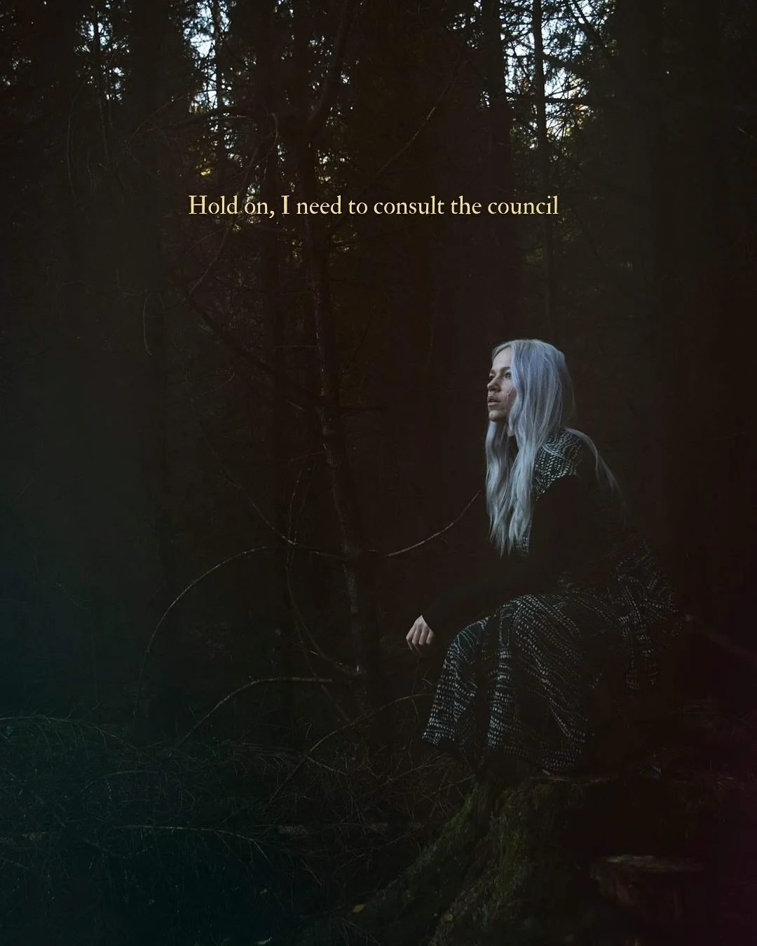 A sit down with nature to unload the mind 🌲🌙