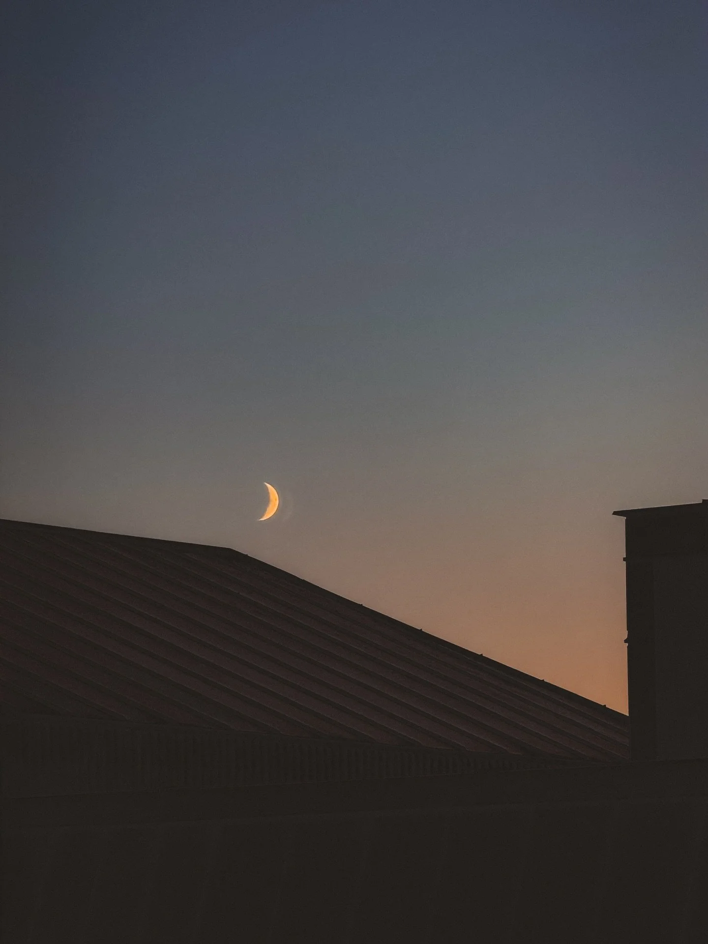 November glimmers ✨

1. The moon is up at 4 pm now 
2. Went to see some of Kittelsen&rsquo;s paintings of Norwegian folklore 
3. @lepetit.3 on a Sunday 
4. Mr Bojangles being the handsomest boi
5. My new obsession is building book nooks 
6. Winter sk