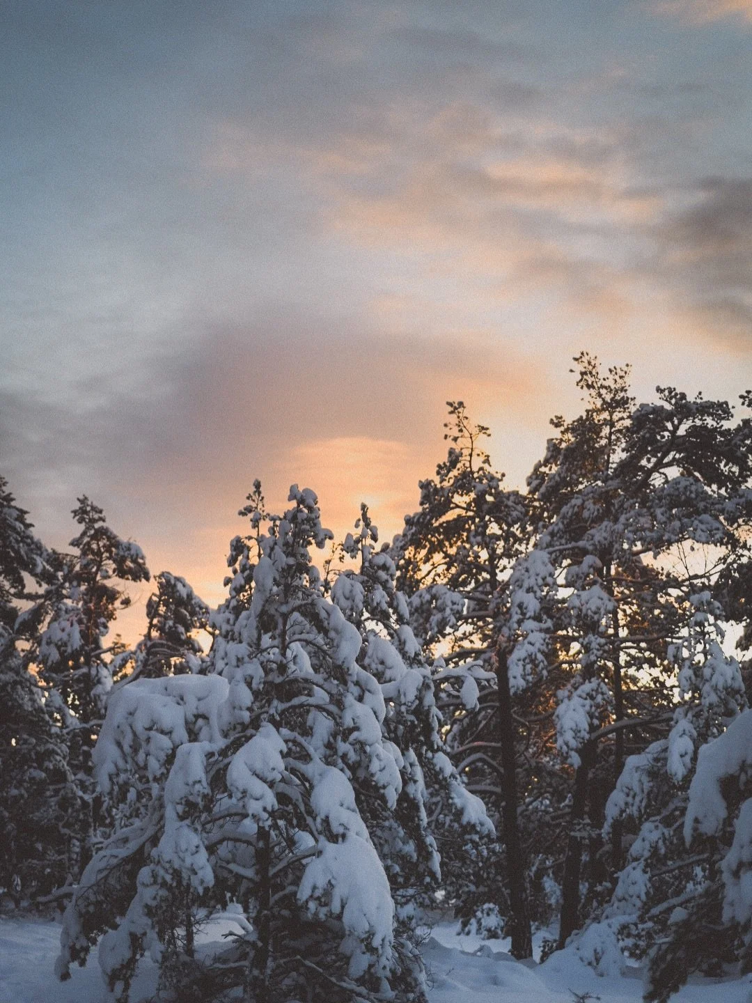 A moodboard for the darkest day of the year. Blessed winter solstice, friends 🌚🌞❄️