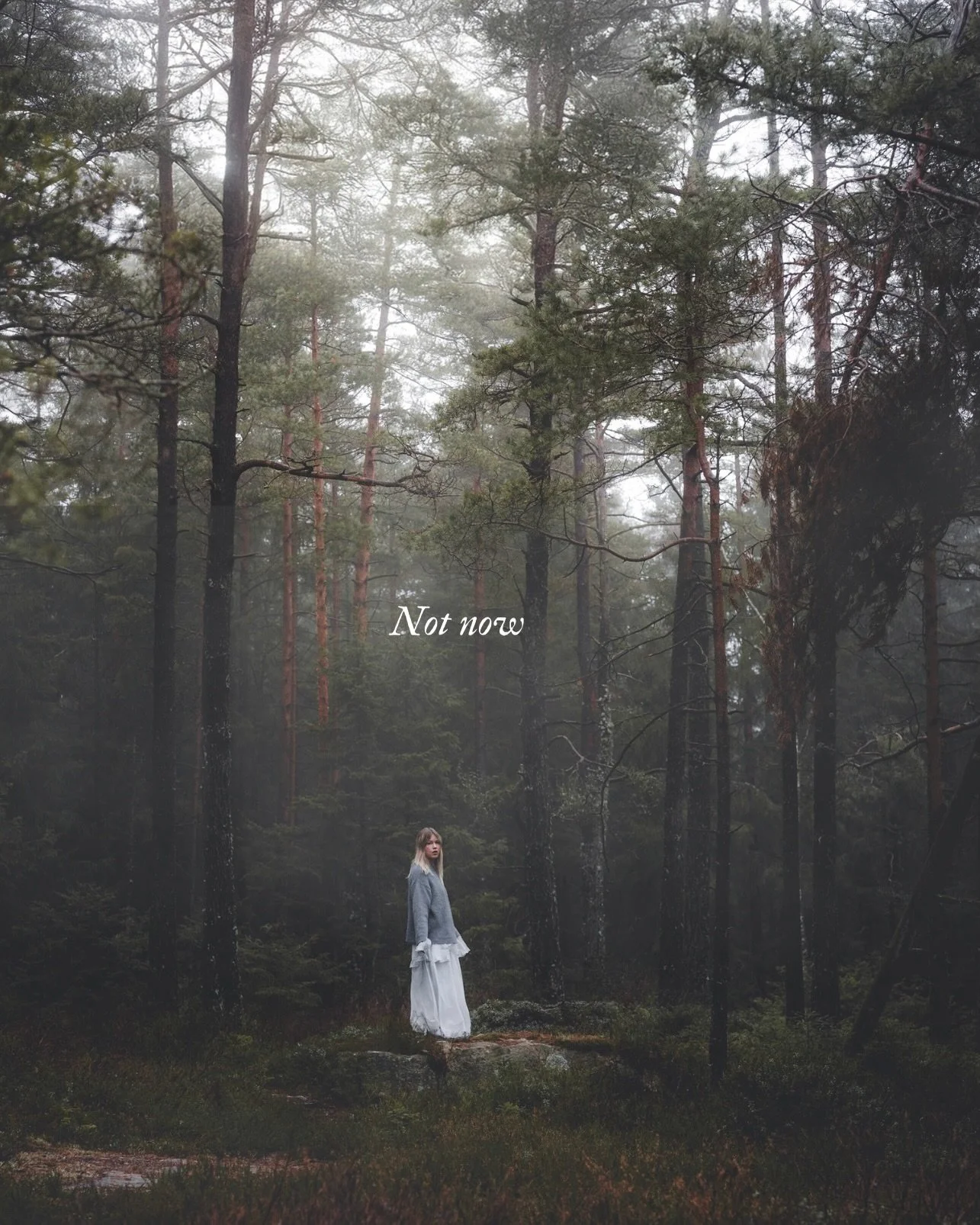 Not yet. We&rsquo;re in the middle of a sleeping season. There&rsquo;s no rush 🌙