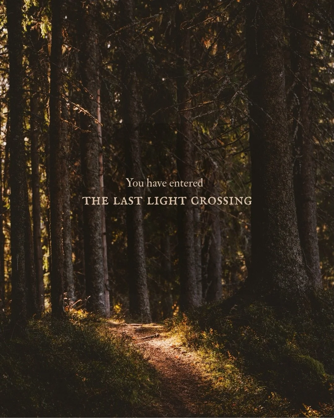 POV: you have entered the Last Light Crossing. 

Many of you chose this place in my &laquo;choose your portal&raquo; post. Many of you chose it for a place to rest. Some of you challenged the sylphs. Some of you chose it for the light. 

Inspired by 