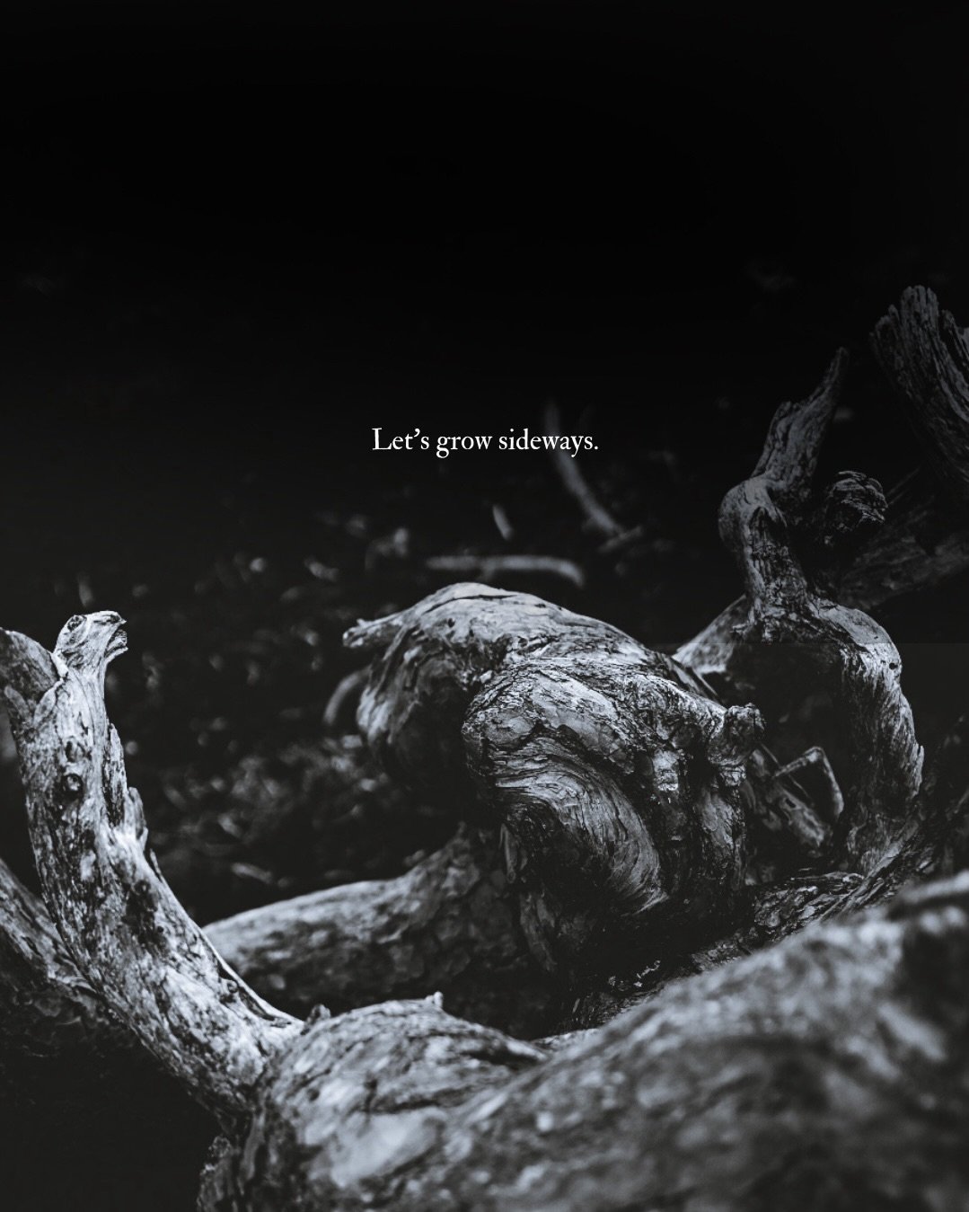 An excerpt from a Substack piece I wrote earlier this week; some thoughts about growing sideways and how the side quests matter. If we don&rsquo;t grow a little wonky and sideways ourselves, we&rsquo;ll miss all the good stuff in the in between 🤎