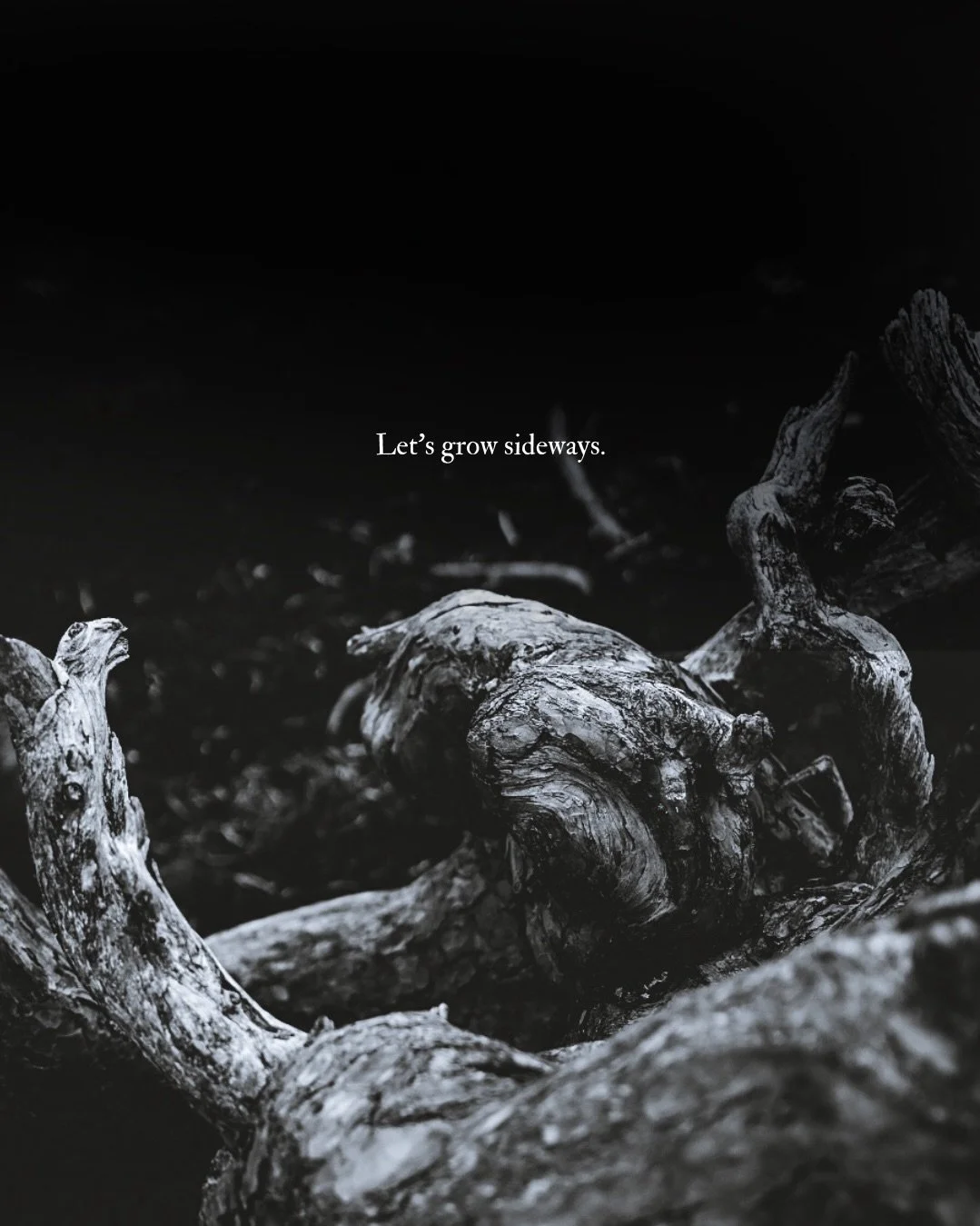 An excerpt from a Substack piece I wrote earlier this week; some thoughts about growing sideways and how the side quests matter. If we don&rsquo;t grow a little wonky and sideways ourselves, we&rsquo;ll miss all the good stuff in the in between 🤎