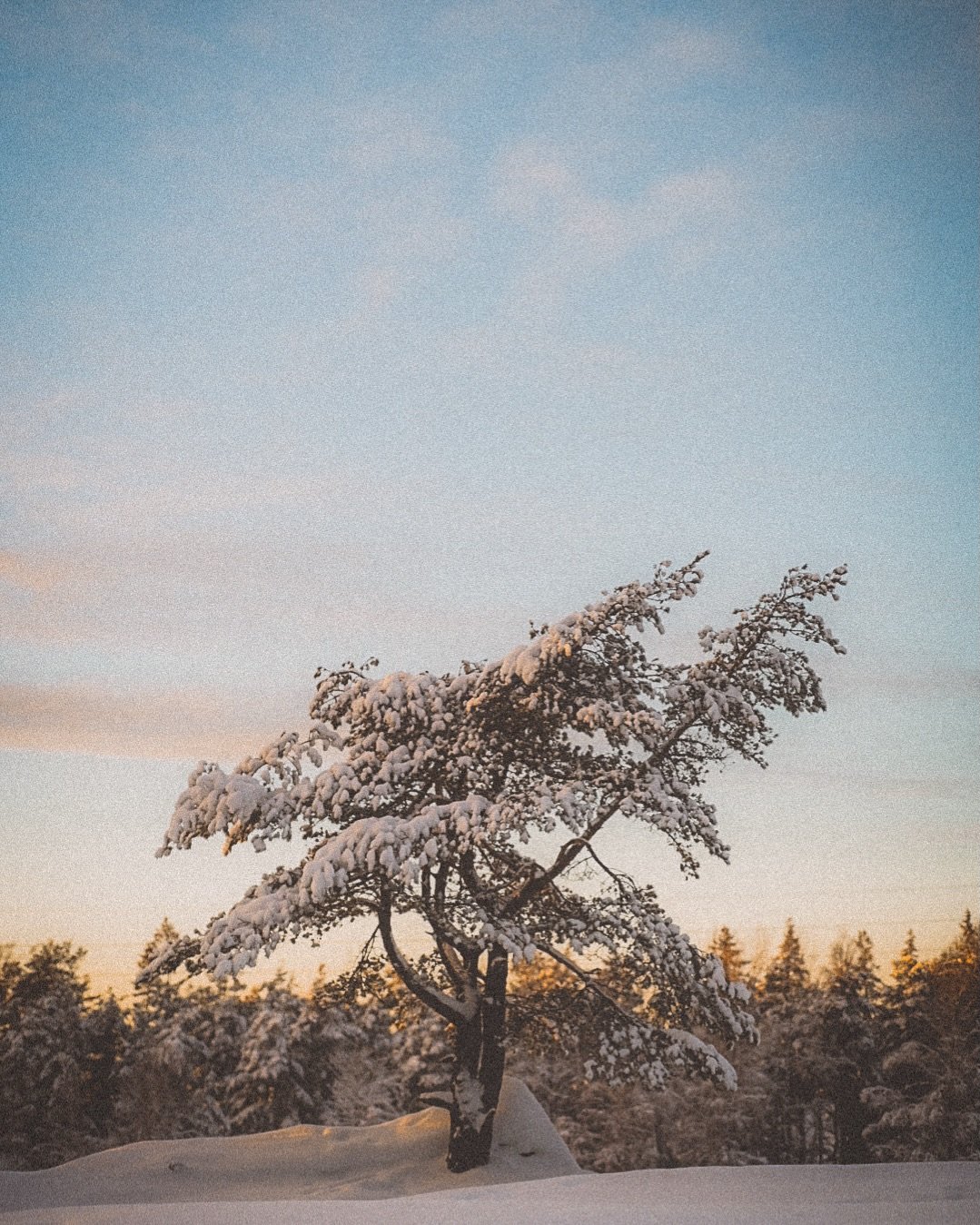 Transitions have always been a weak point of mine. I exist in a waiting room of sorts, just holding on for the dust to settle. 

I am struggling at the start of this year. My head and my body can&rsquo;t keep up with this pace. I need to go slow. 

S