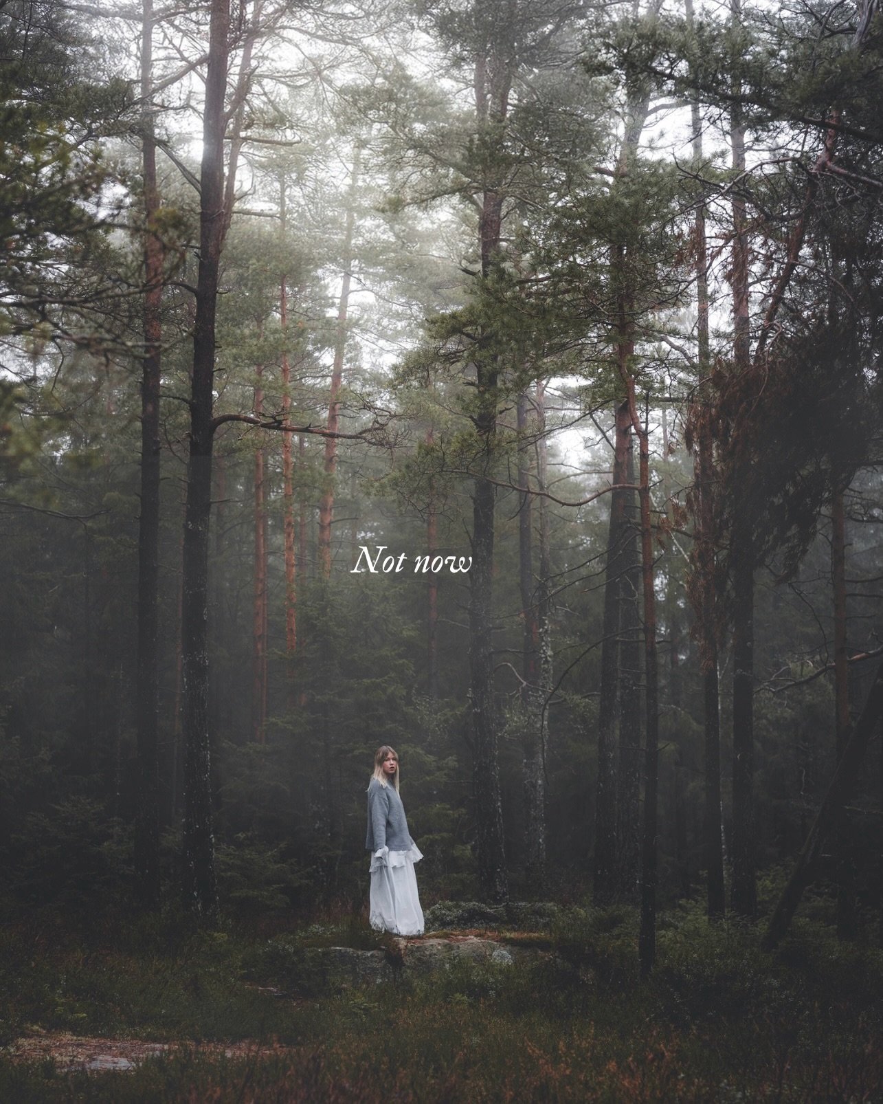 Not yet. We&rsquo;re in the middle of a sleeping season. There&rsquo;s no rush 🌙