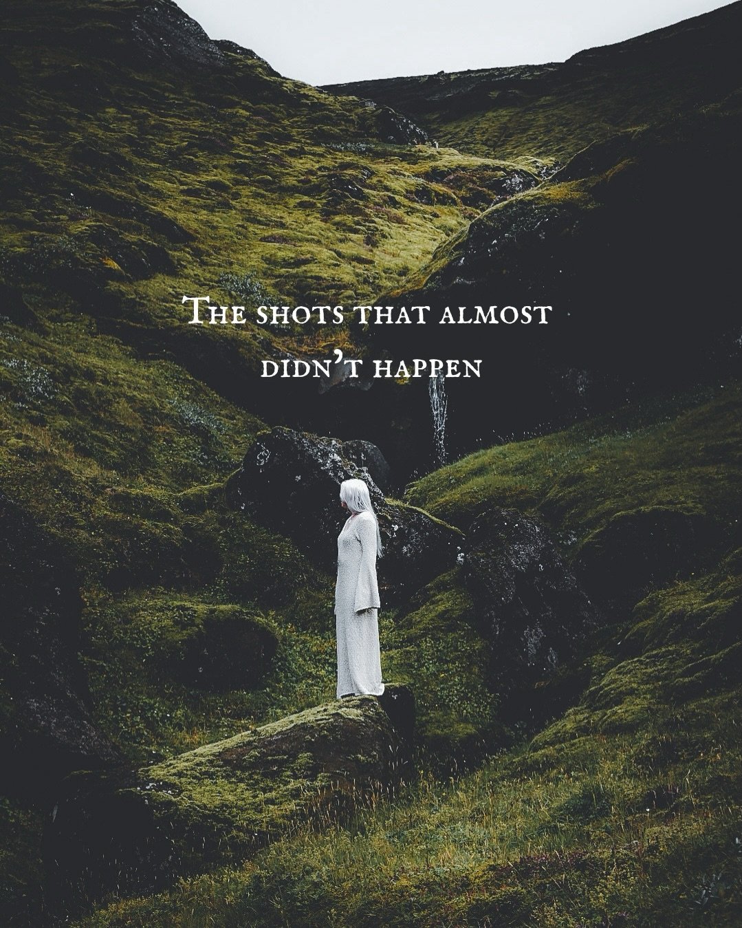 The inner critic was loud. The sheep were aggressive. The moose was apparently aggravated.

 But I showed up anyway.

Some of my most treasured images exist because I was too stubborn to let fear, shame, weather, wildlife or any of my inner gremlins 