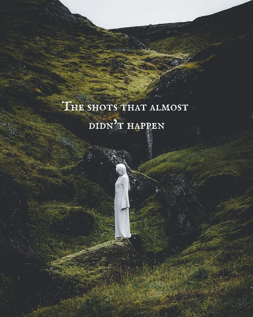 The inner critic was loud. The sheep were aggressive. The moose was apparently aggravated.

 But I showed up anyway.

Some of my most treasured images exist because I was too stubborn to let fear, shame, weather, wildlife or any of my inner gremlins 