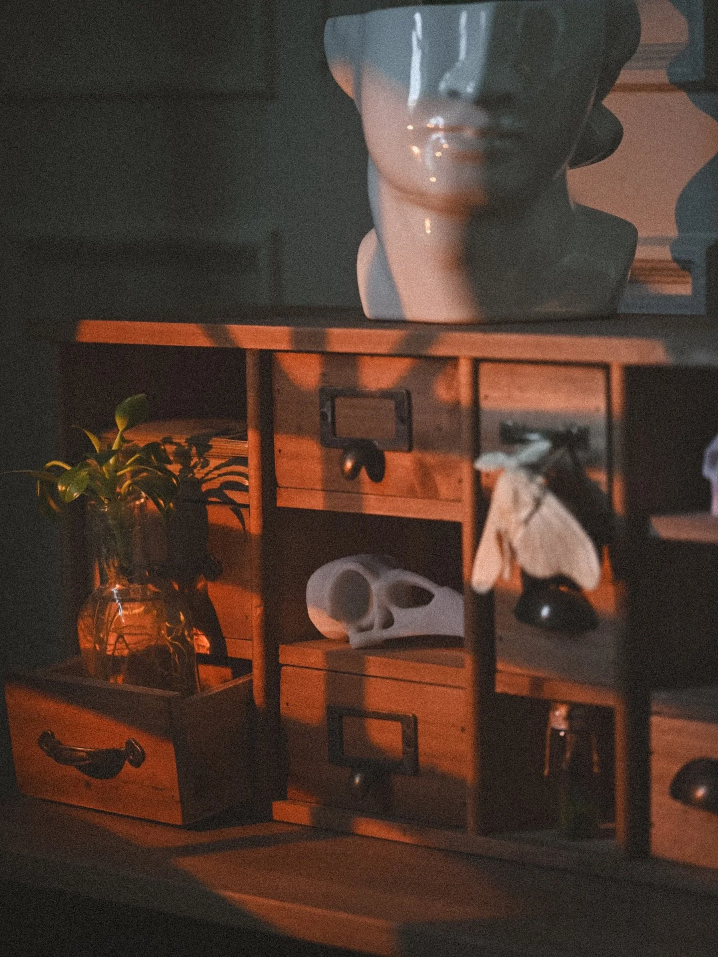 Cabinet of curiosities featuring the in-house familiar vibes = check ✔️