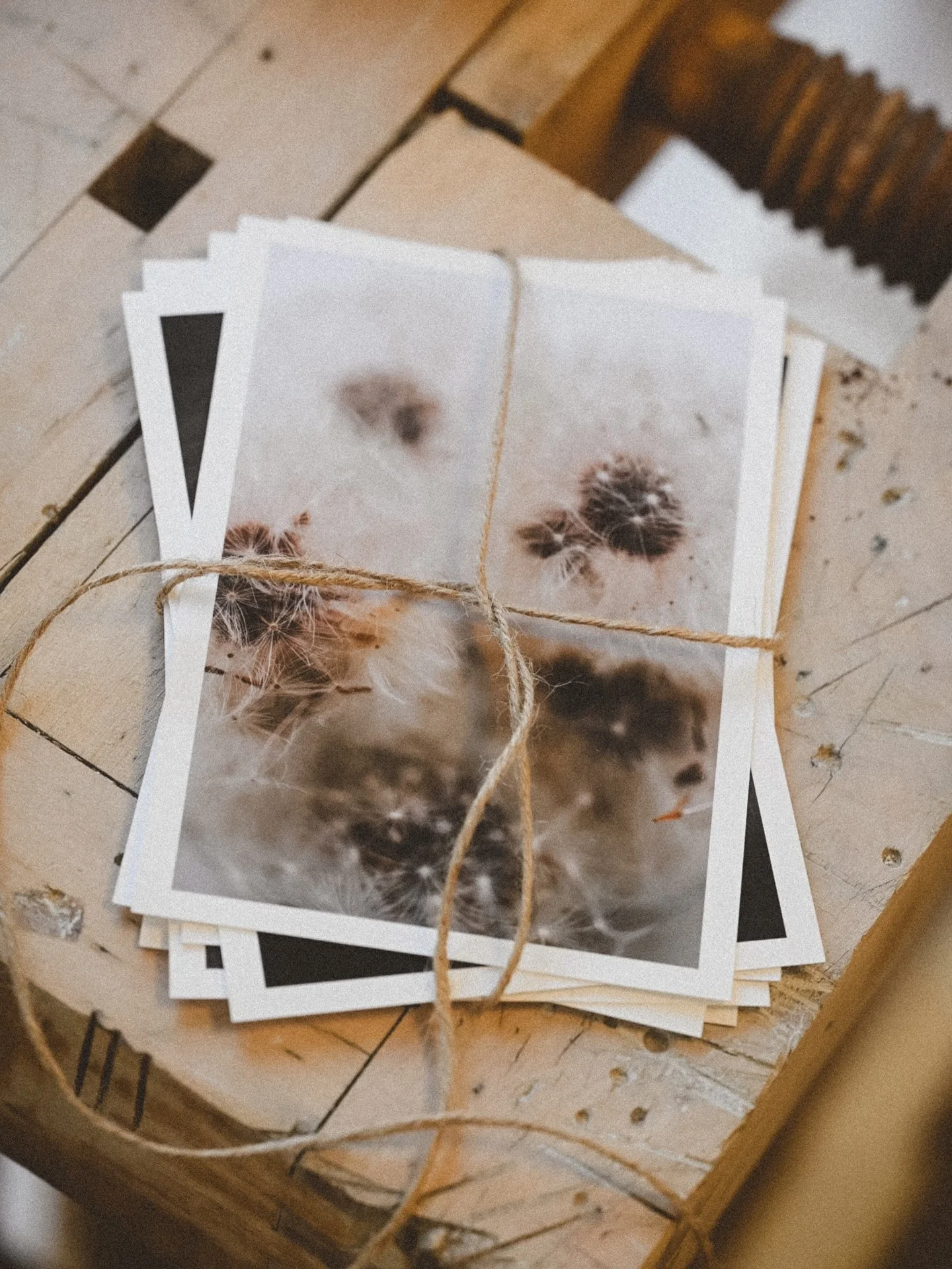 Baby sized art prints 🤍 A5 sized art postcards printed for the spring market at @havnehagen_engly this weekend. Should these make their way to the online print shop too? 👀