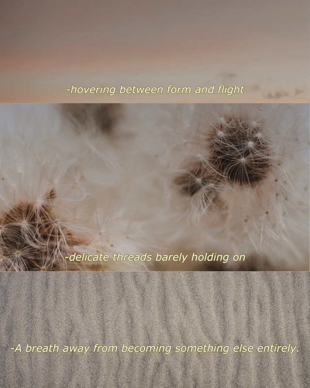 Small lines of poetry dripped on moodboards from my new poster collection 🐚 

As summer enters the frame late here in the north, I am once again reminded of what I love about it: the peach colored skies at 11PM, the dew, the smell after summer rain,