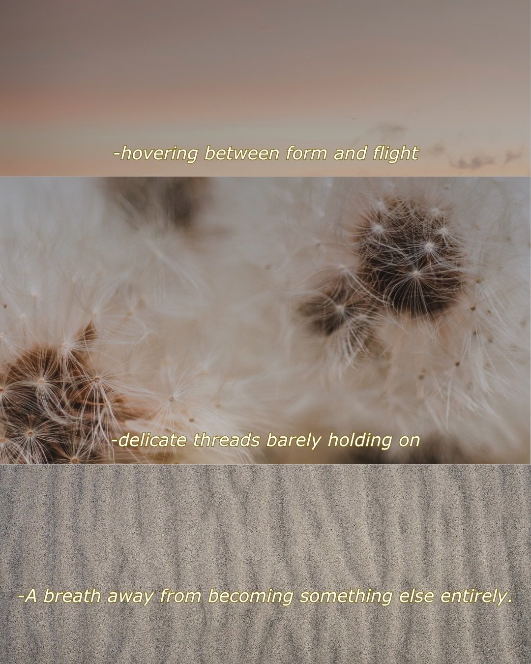 Small lines of poetry dripped on moodboards from my new poster collection 🐚 

As summer enters the frame late here in the north, I am once again reminded of what I love about it: the peach colored skies at 11PM, the dew, the smell after summer rain,