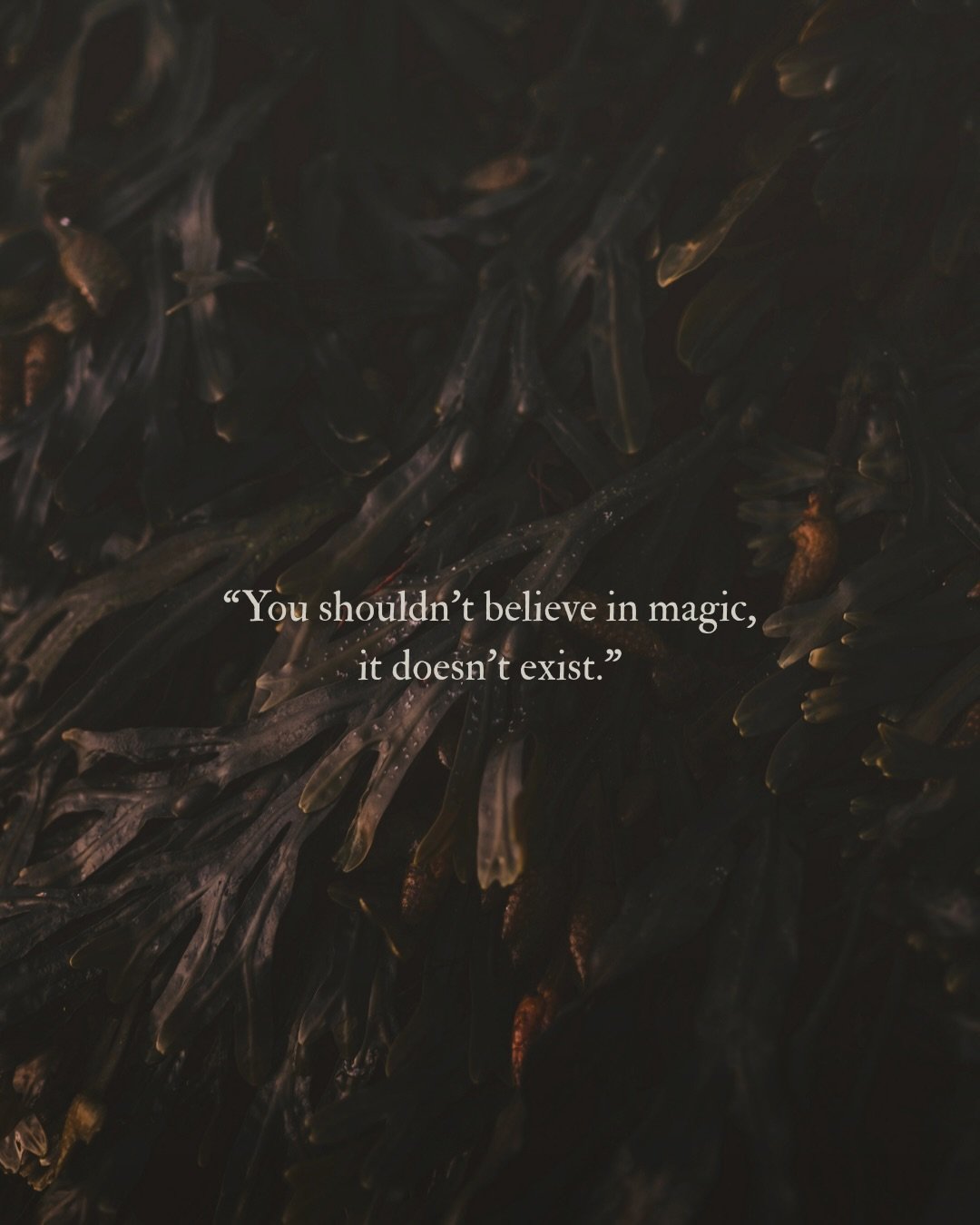 Respectfully, to the adults who told me this when I was a kid obsessed with Narnia and Lord of the Rings; you&rsquo;re so, so, SO wrong. By delving into magical stories, I learned that the magic, in fact, DOES exist outside of our door. You just have