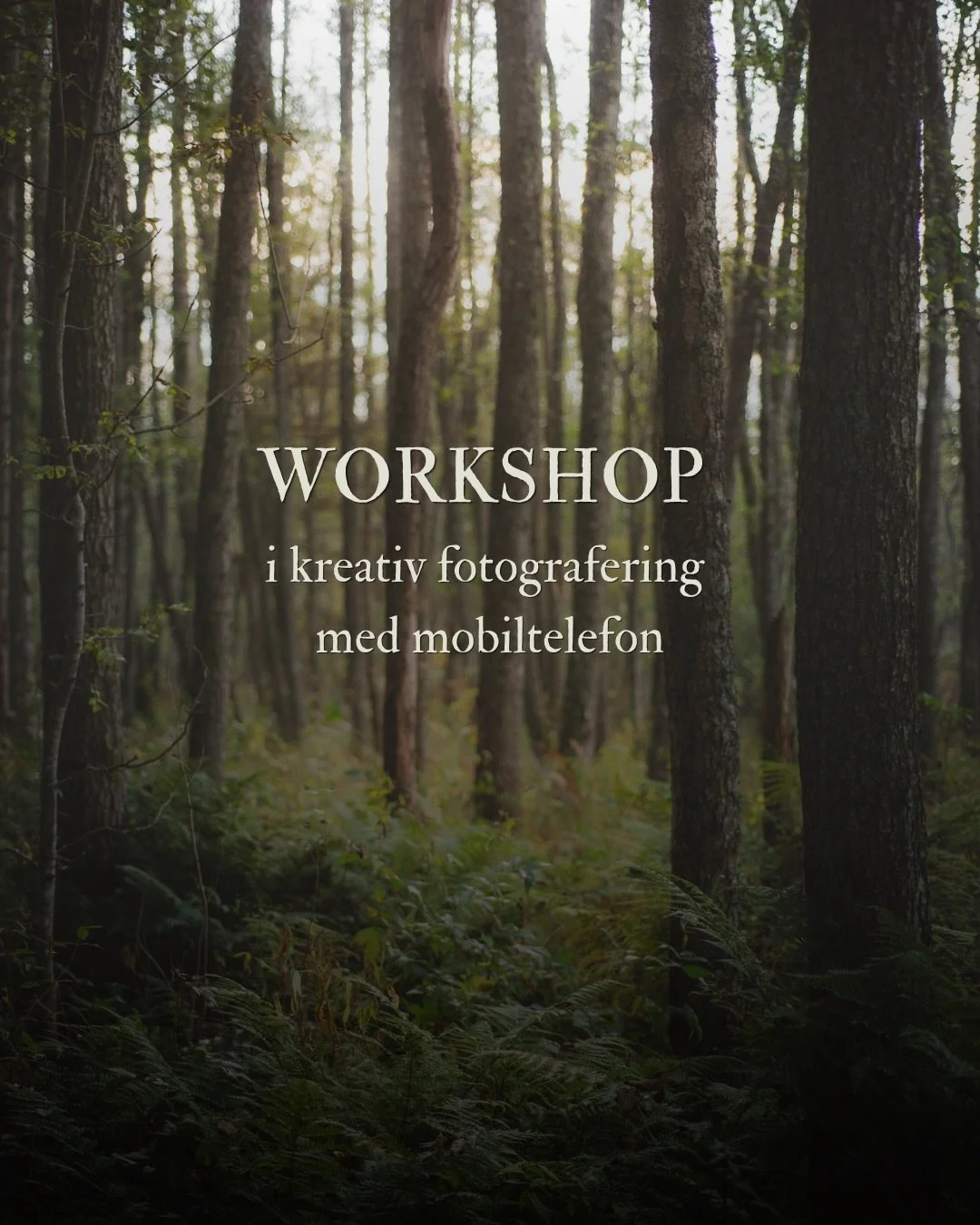 For my Norwegian friends! I&rsquo;m hosting two workshops this summer 🌾

Bli med til Havnehagen Engly p&aring; Vester&oslash;y, Hvaler for en workshop dedikert til &aring; observere og dokumentere. Du beh&oslash;ver kun &aring; dukke opp med mobilka