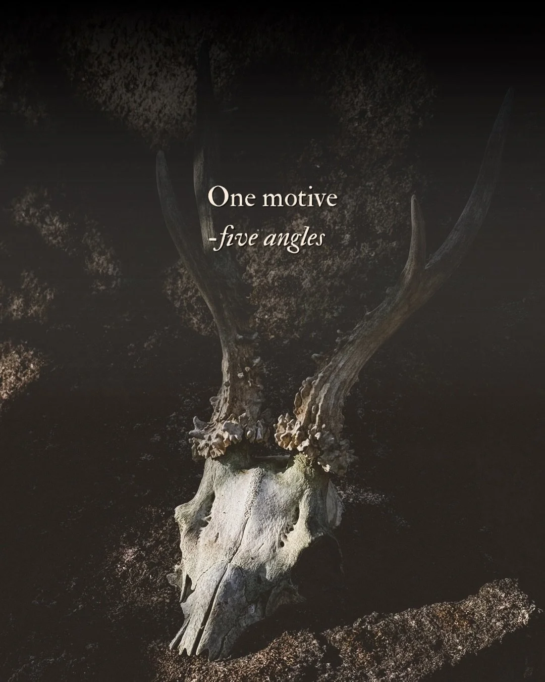How many stories can you tell about one object? 

Many, it turns out. This summer I started holding live workshops for creative photography with a smart phone camera. One of the exercises is called &laquo;One object - five angles&raquo;. The particip