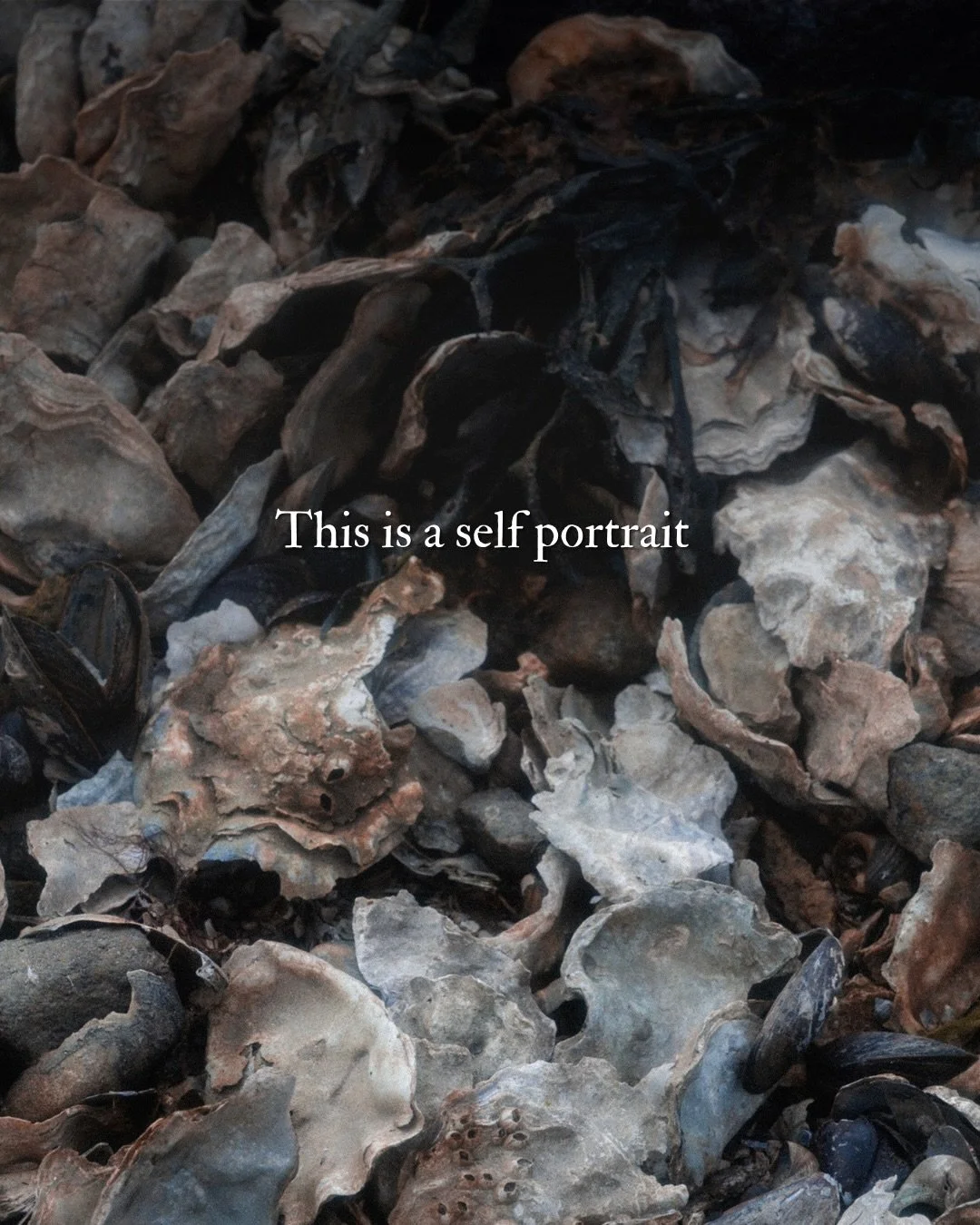 Everything you make is a unique reflection of you 🪞

#selfportraitartist #visualpoetry