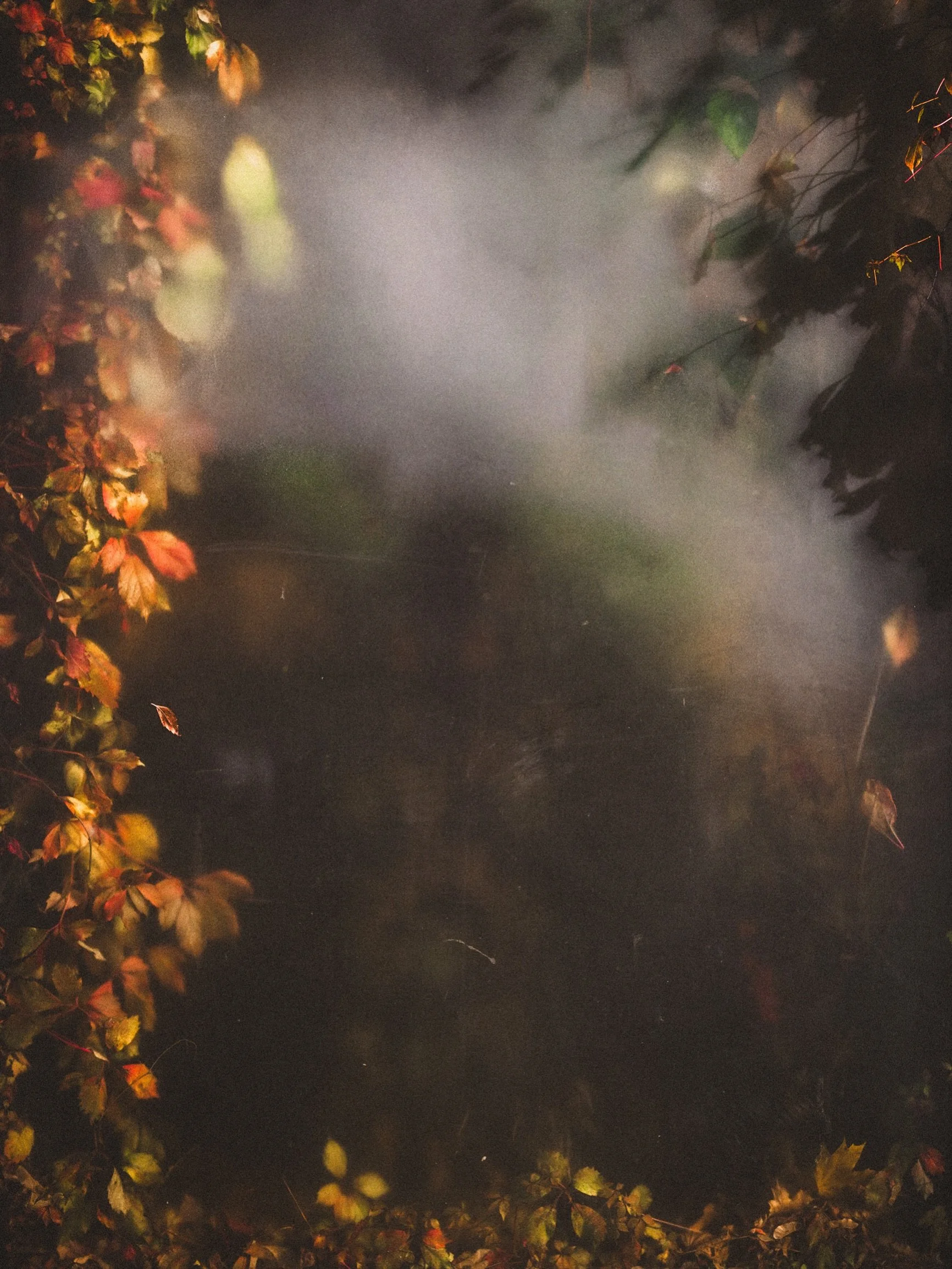 Liminal. The threshold of transition. Where you can&rsquo;t turn back to the old, but can&rsquo;t quite make out the path of the new. Autumn does it every year. 

Any version that has outlived its purpose will decay. And from that soil, something new