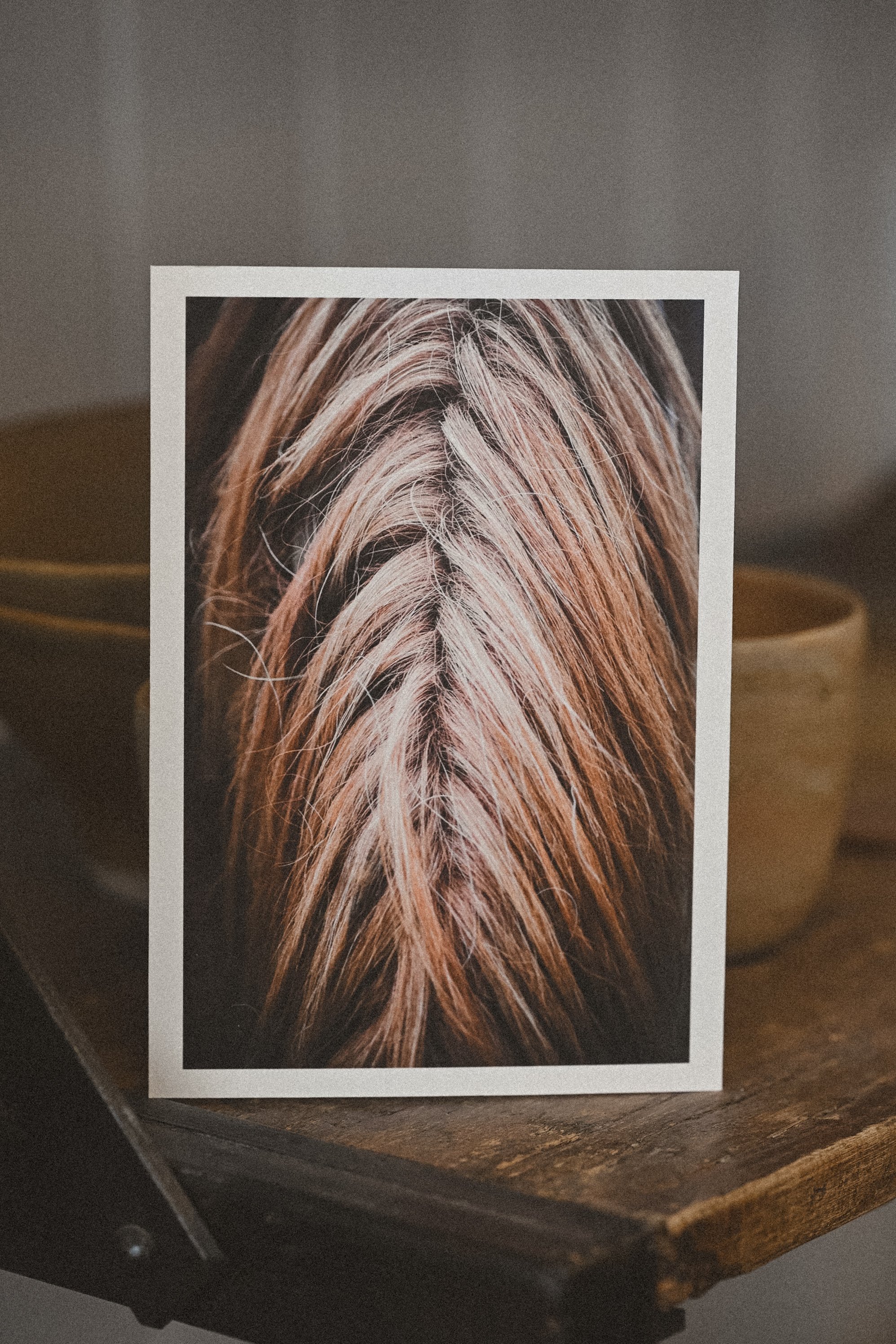 Equus art card