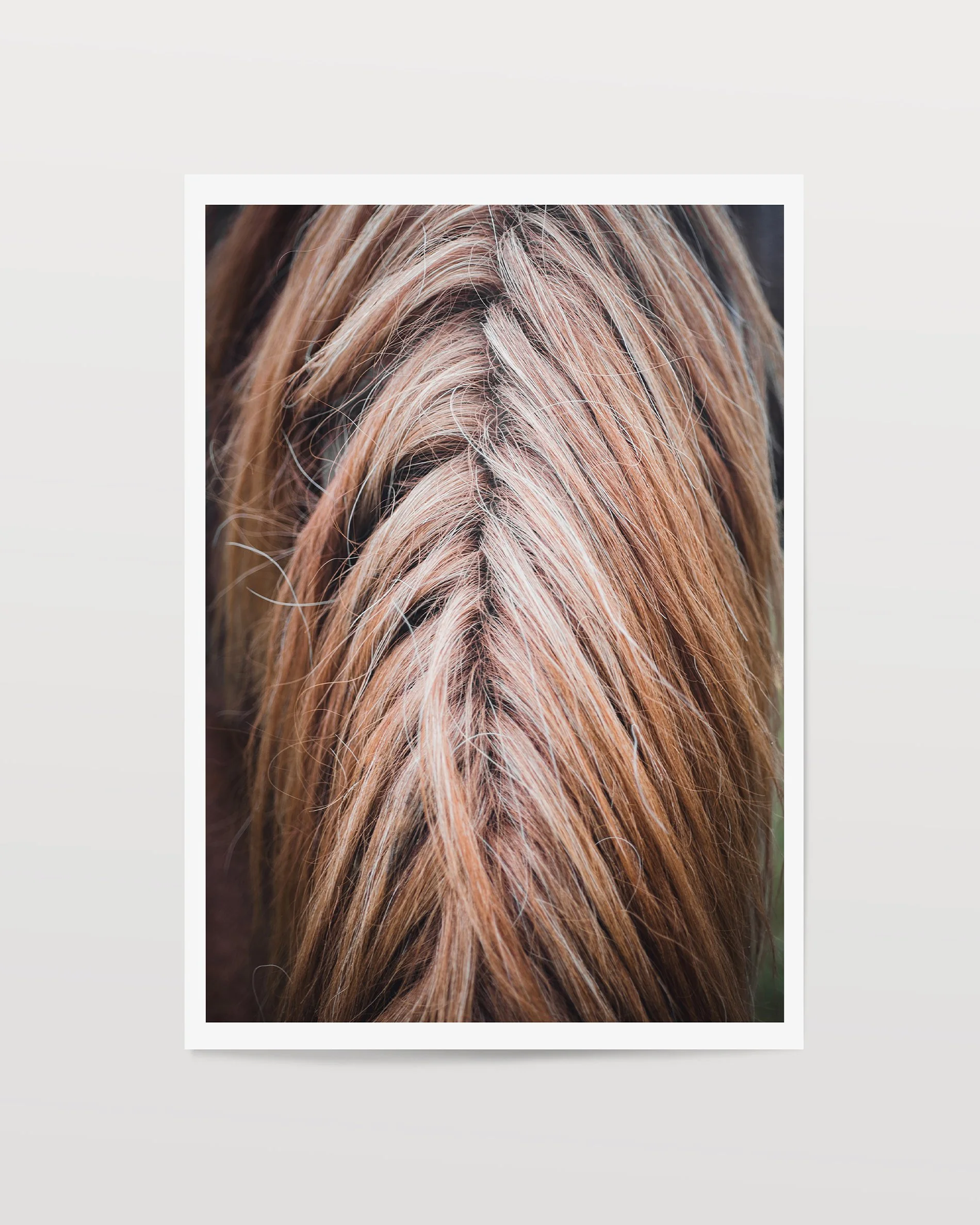 equus cover.jpg