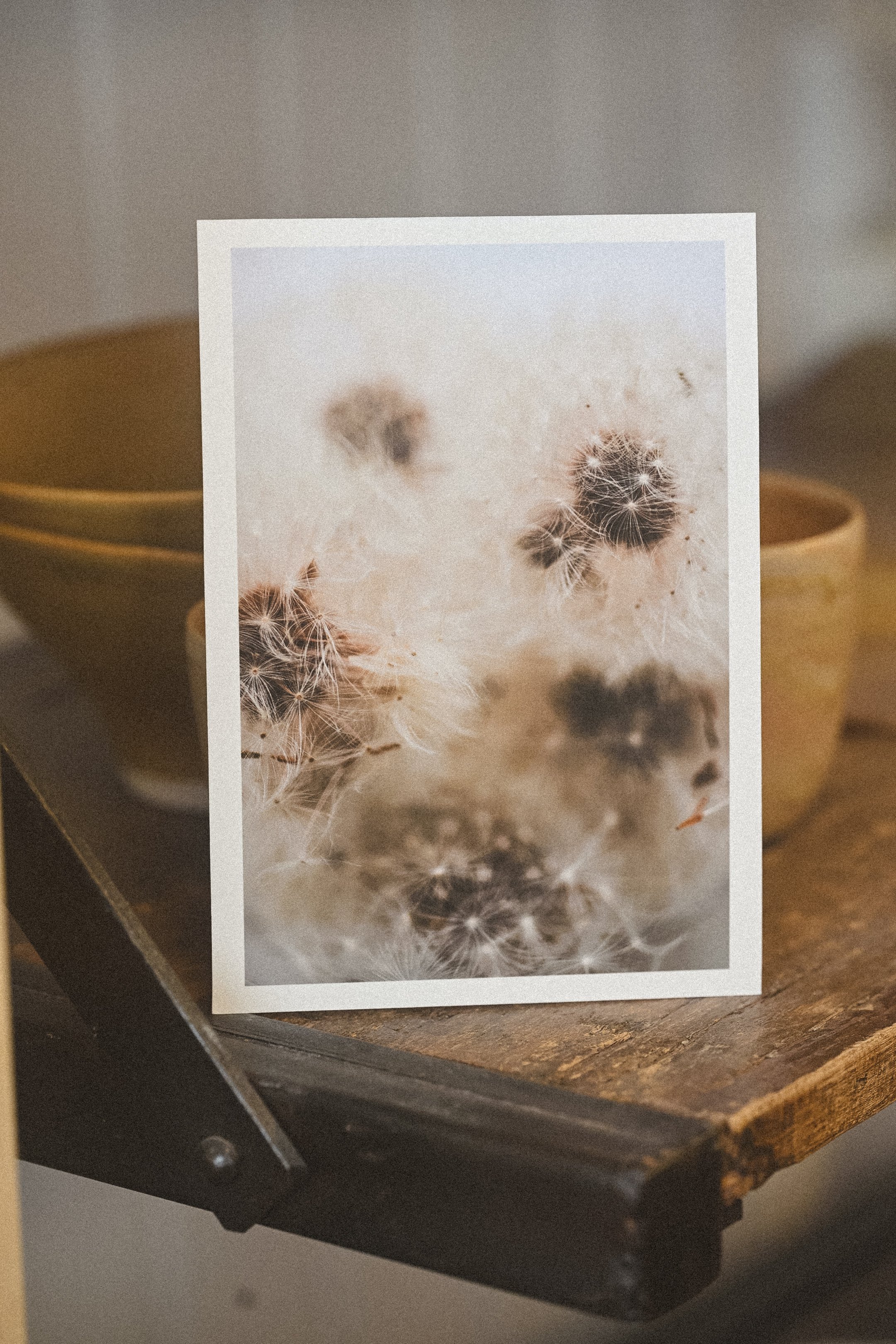 Shapeshifter art card