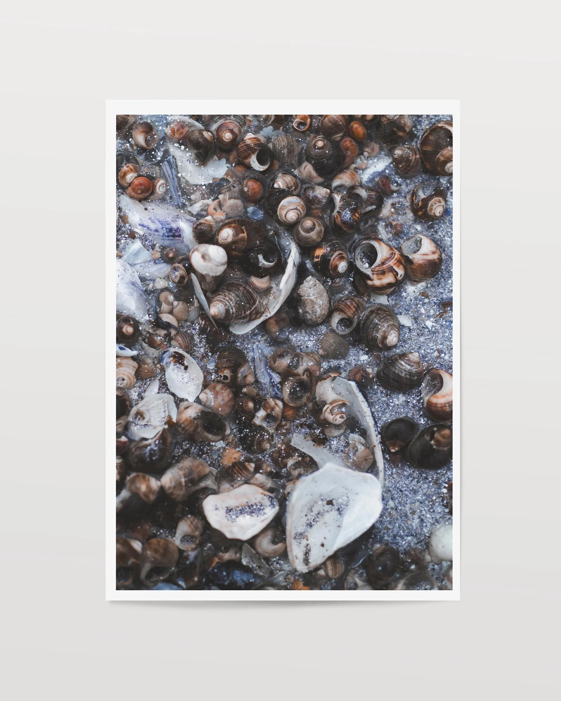 Scattered houses