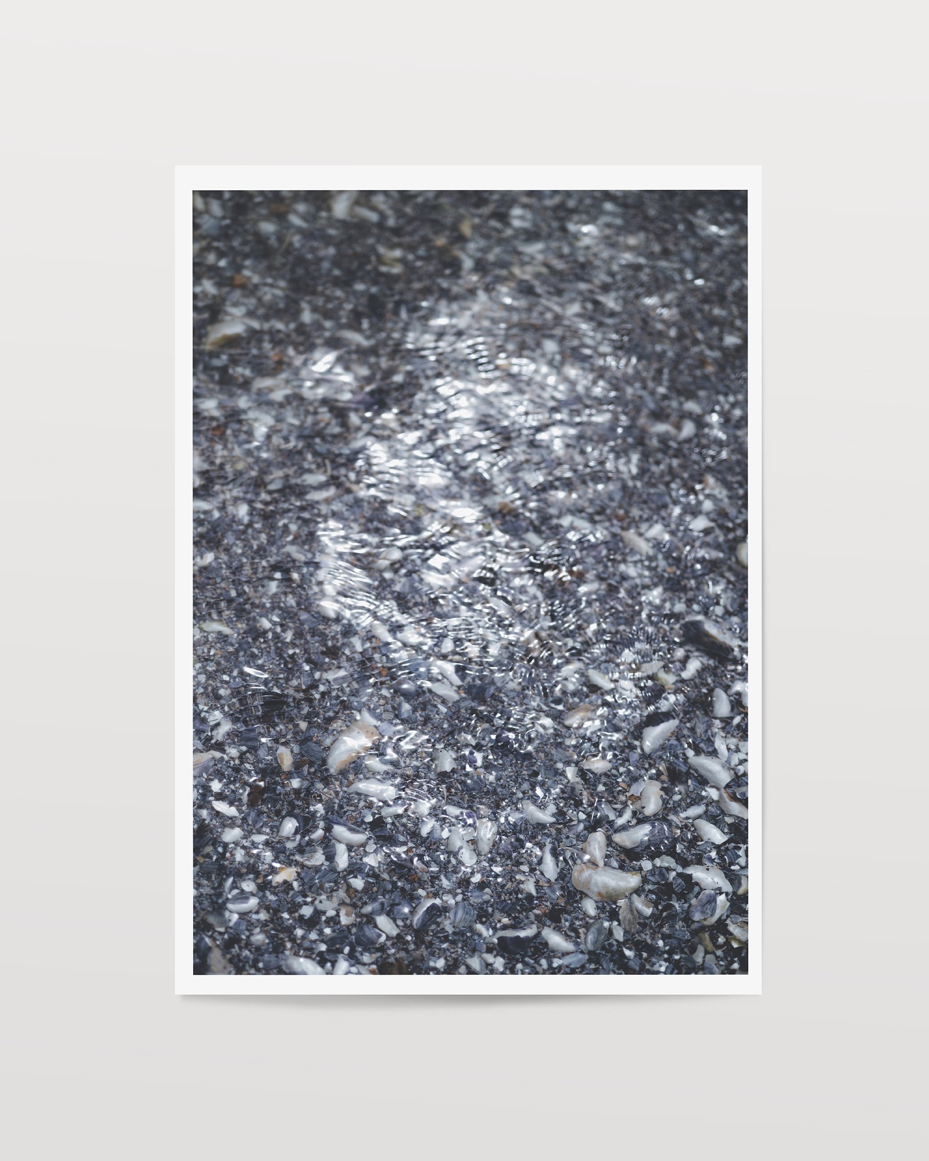 purple beach cover.jpg