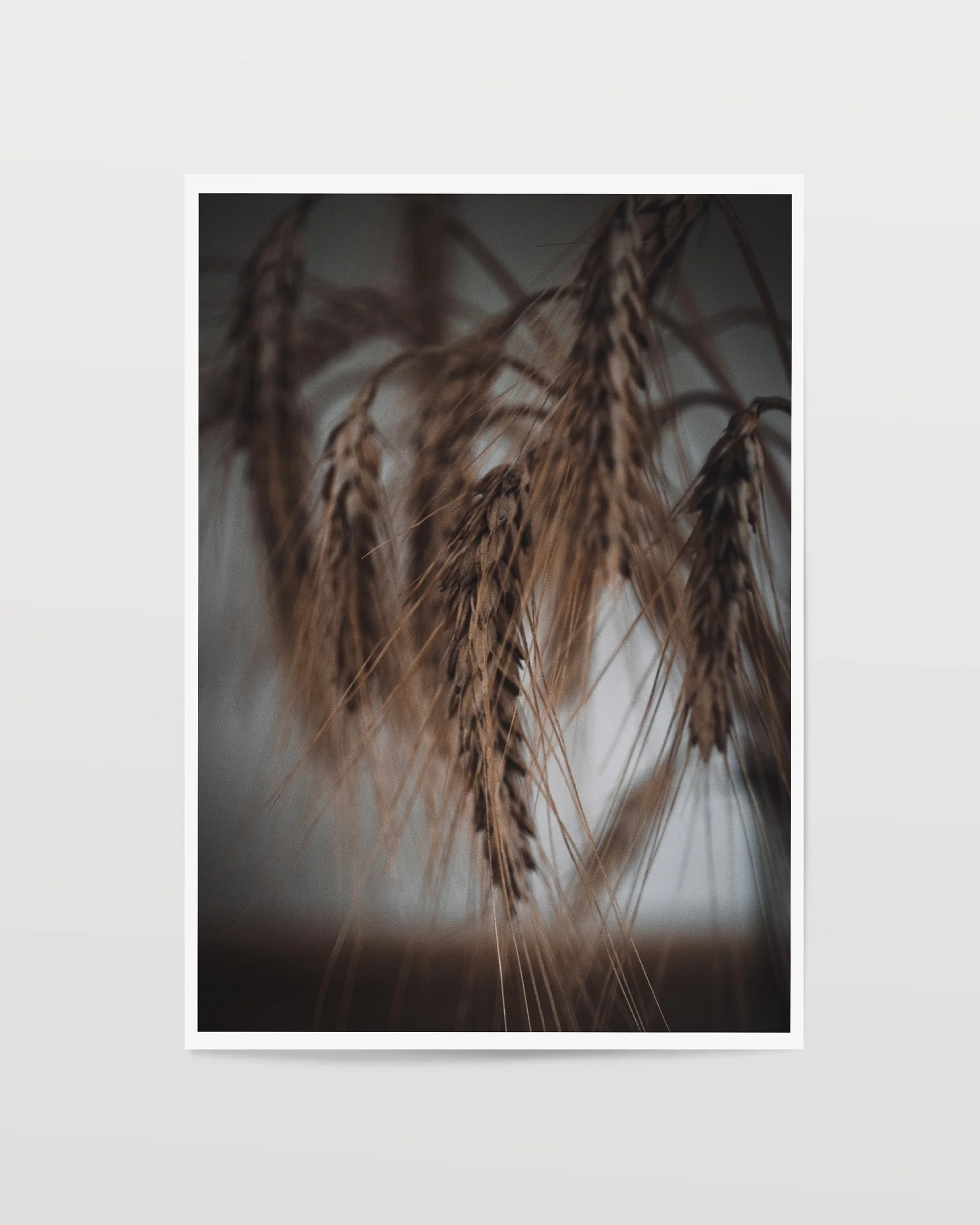 Harvest