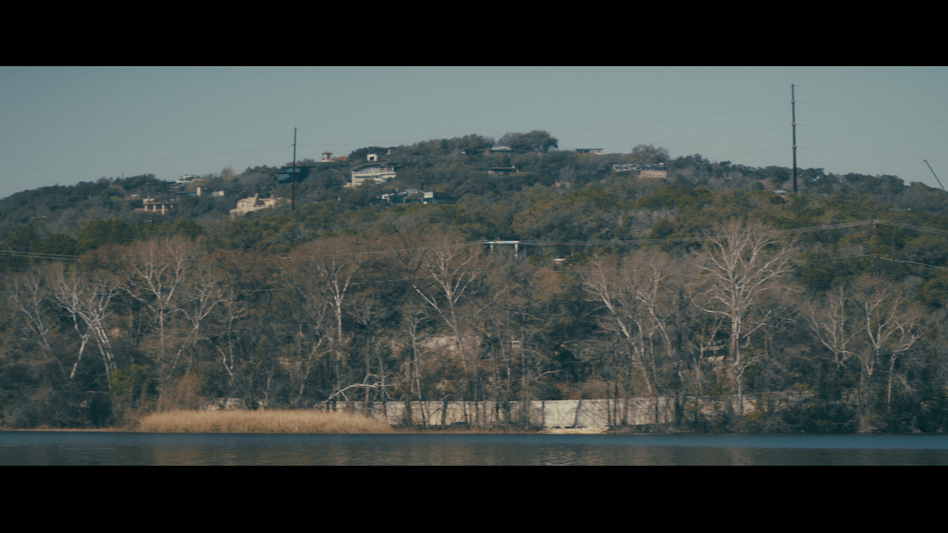 A hillside with houses and trees, seen from across a body of water.