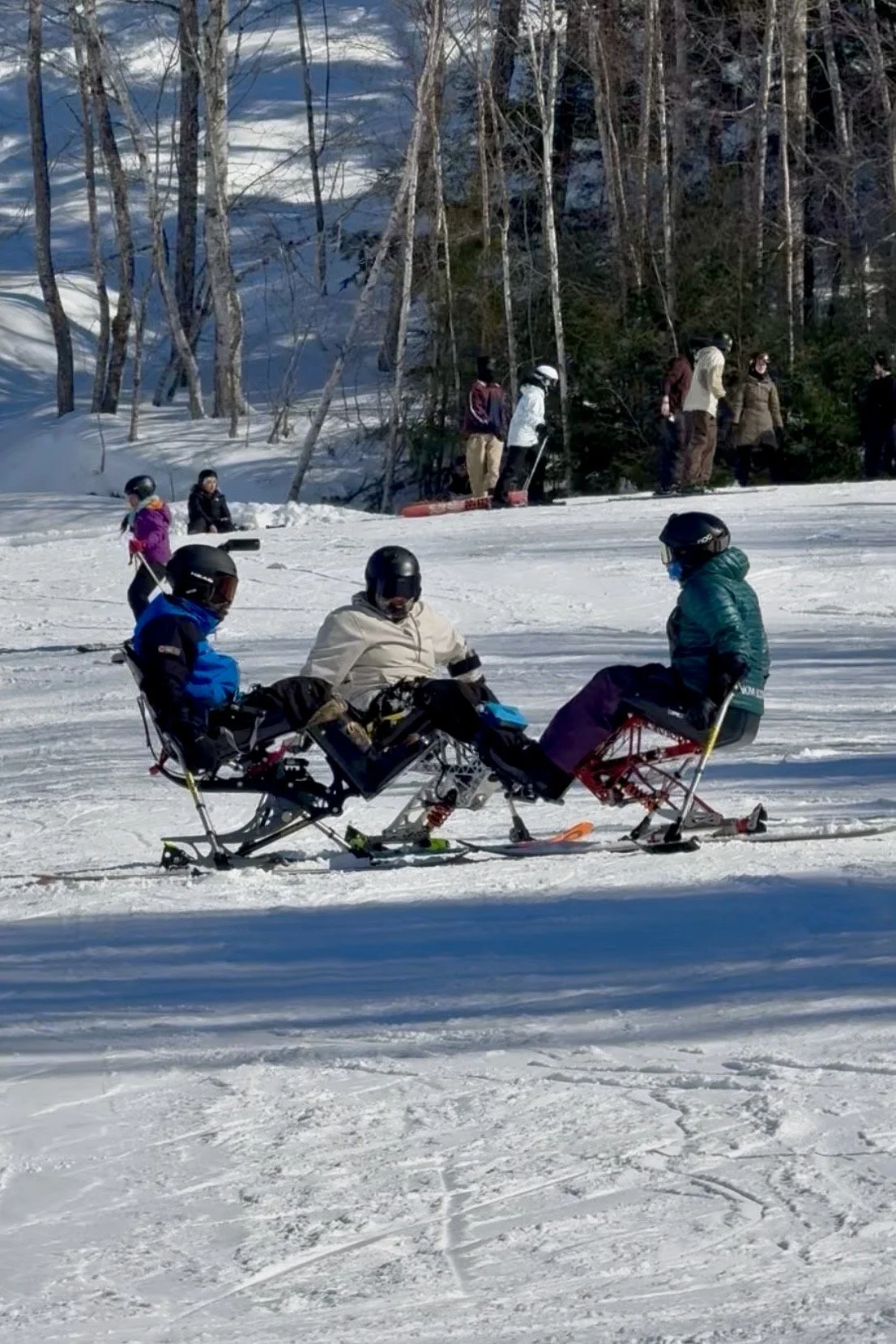 Accessible Skiing