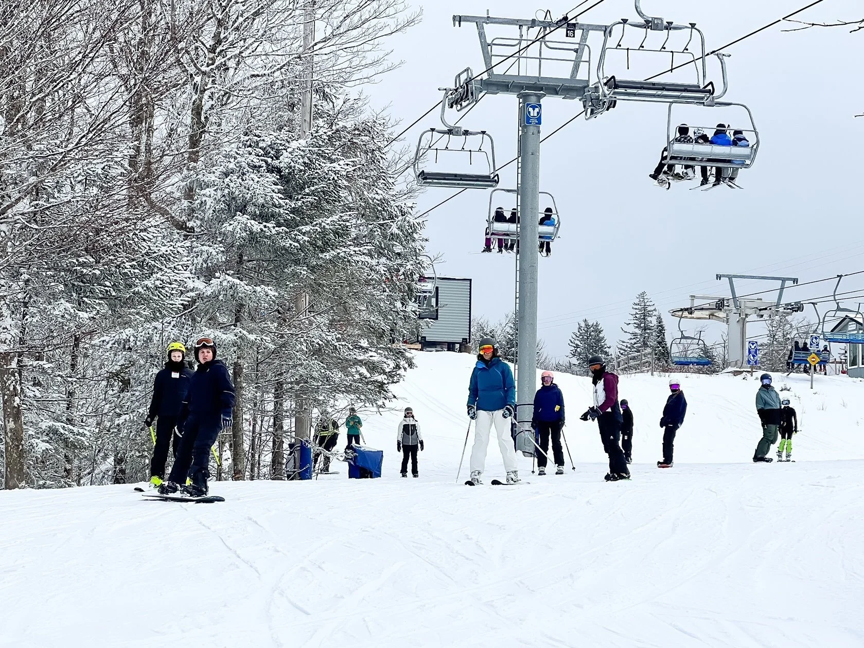 Alpine skiing and snowboarding