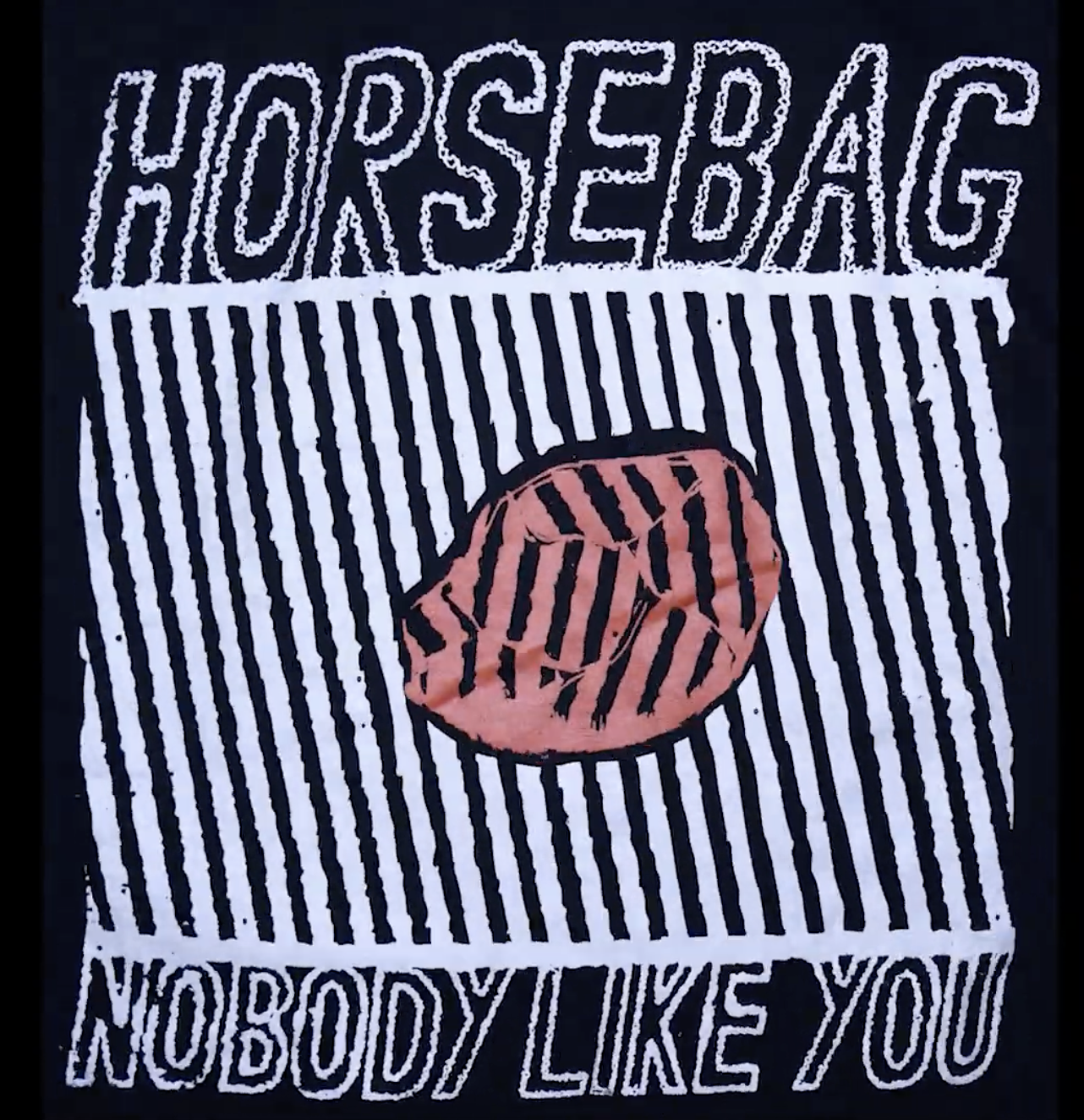 “Itchiest Shirt” Music Video