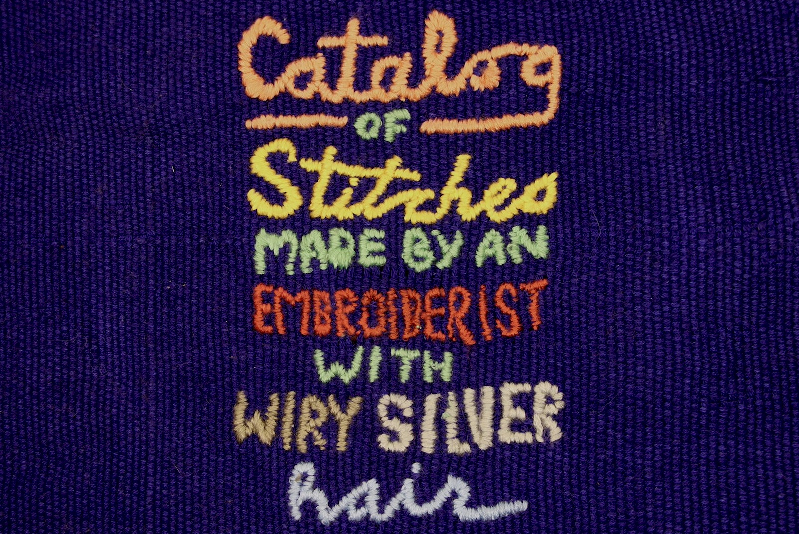 Catalog of Stitches Made by an Embroiderist with Wiry Silver Hair
