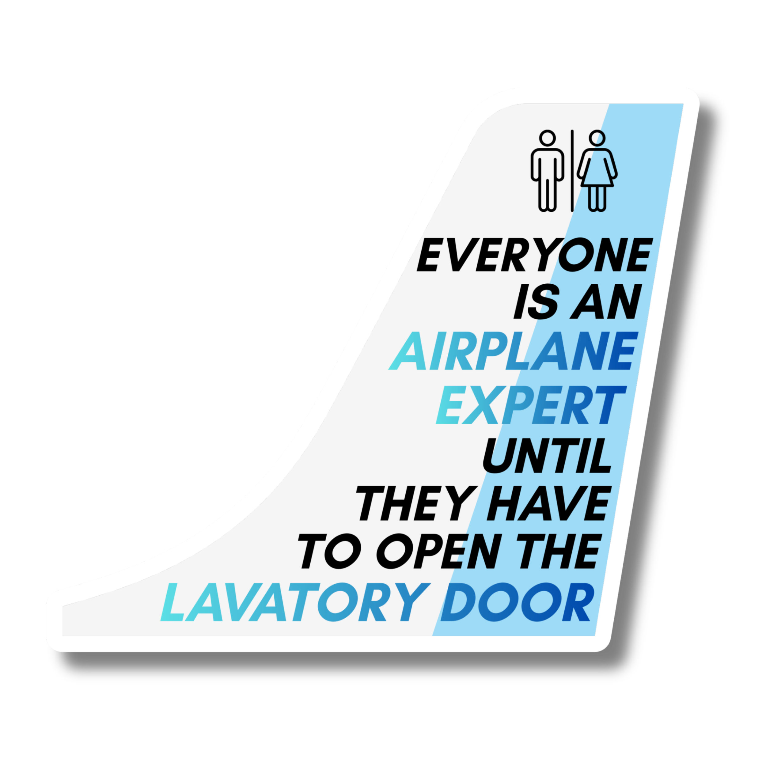 Airplane Expert Lav Door Sticker