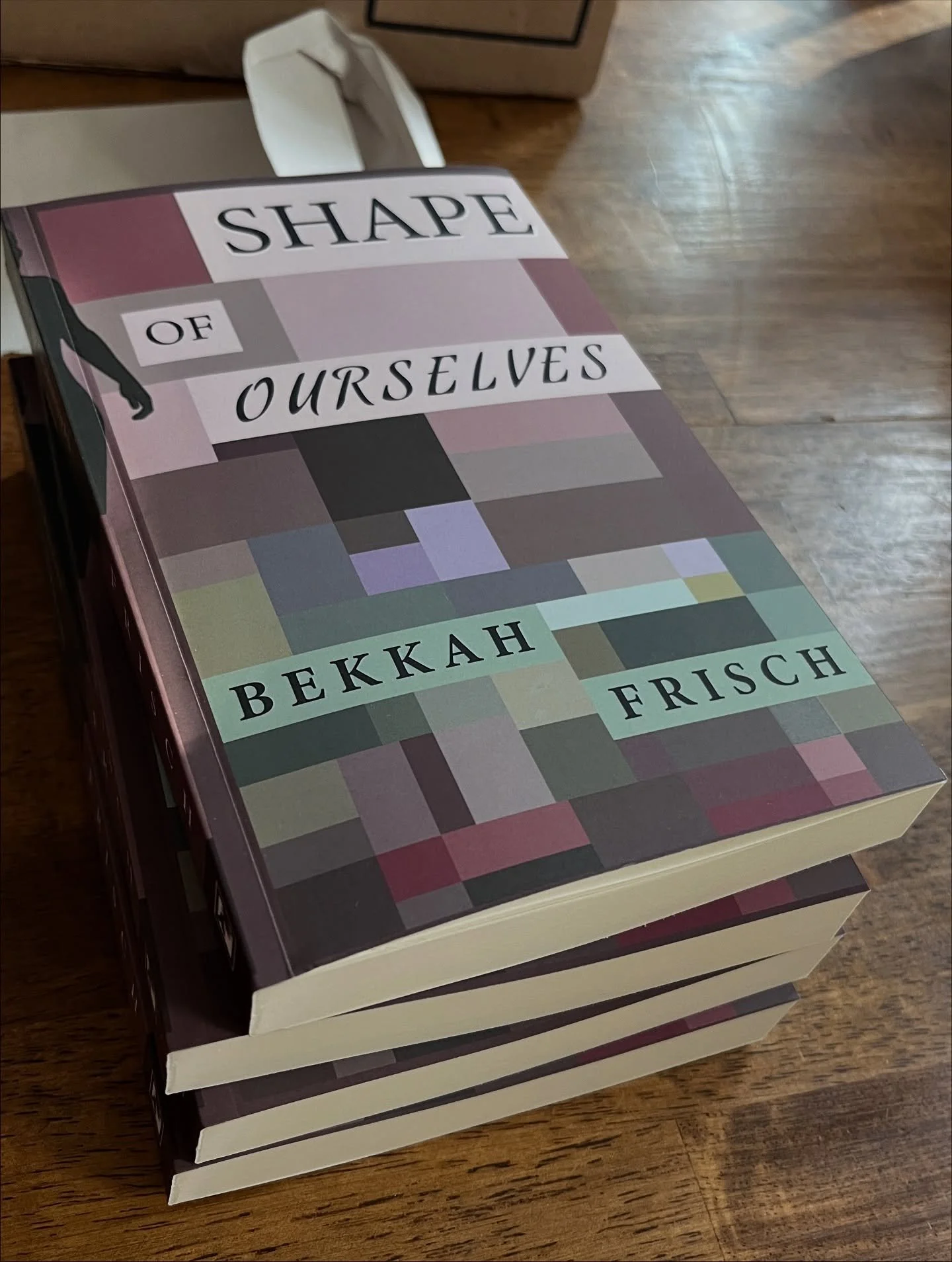 Shape of Ourselves is out now!! I&rsquo;ll be at the Baldwinsville Library this Saturday, October 18, with fantastic company like @shannarobillardauthor and @miranda_writes_romance&mdash;so stop by and grab your signed copy!