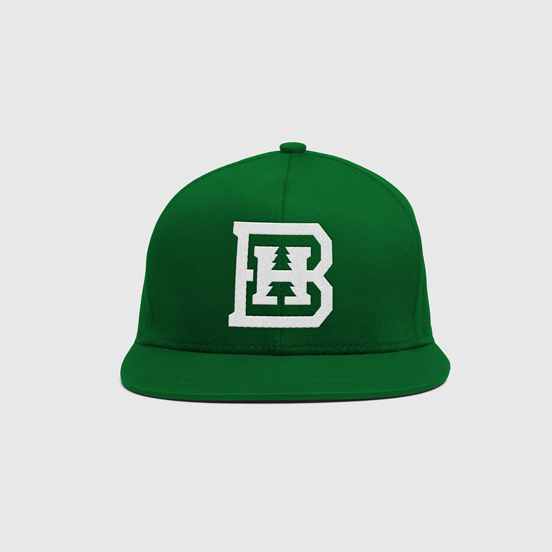 Black Hills State University | Brand Identity