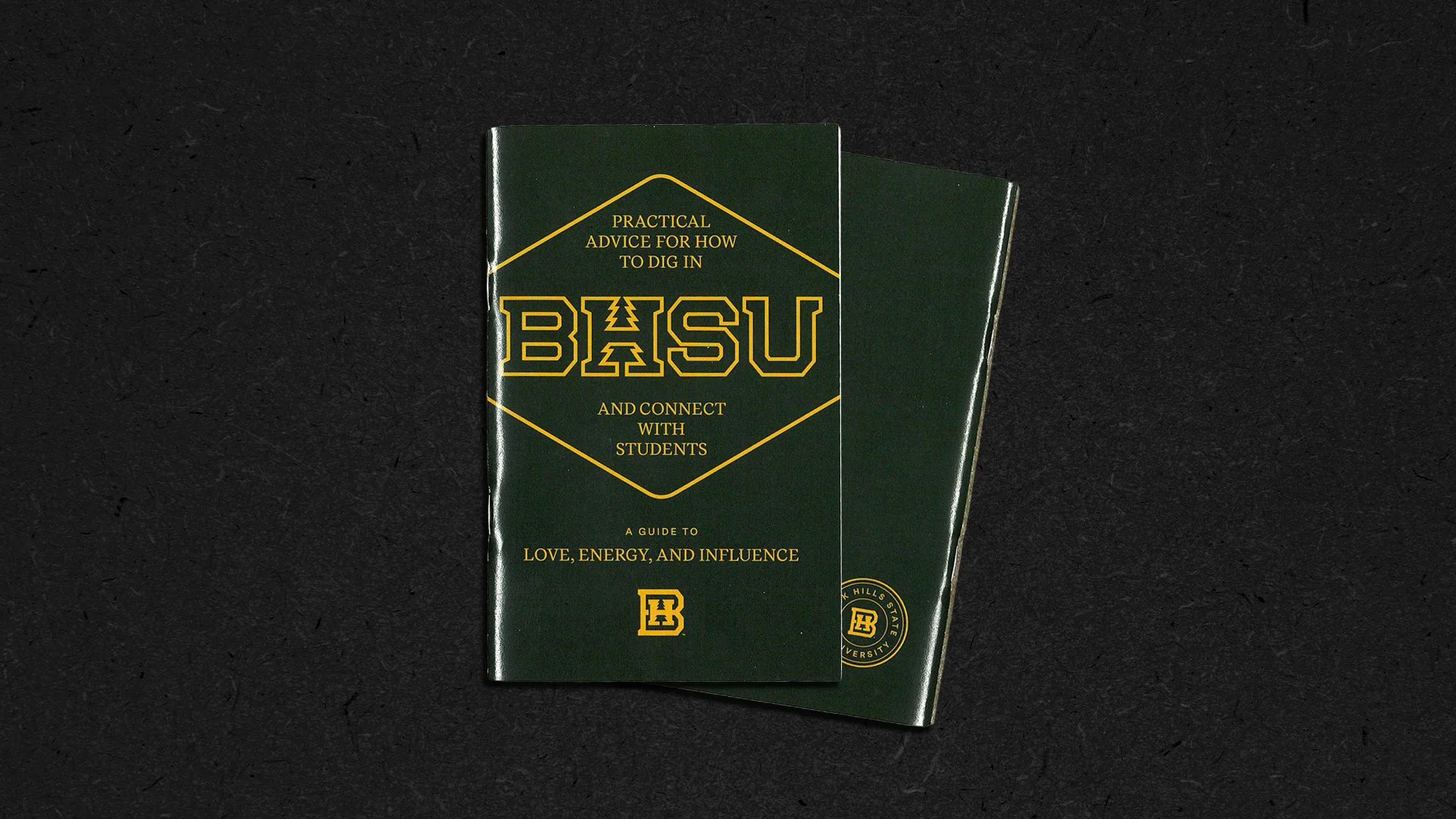 Black Hills State University  |  Brand Strategy, Print