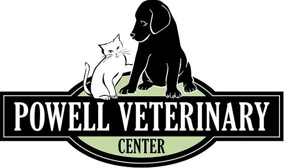 pvc_logo (1) - Elisa Edgington (1).jpg