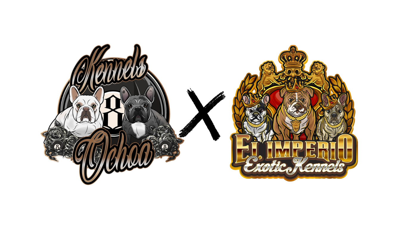 Kennels Ochoa x El Imperio Exotic Kennels