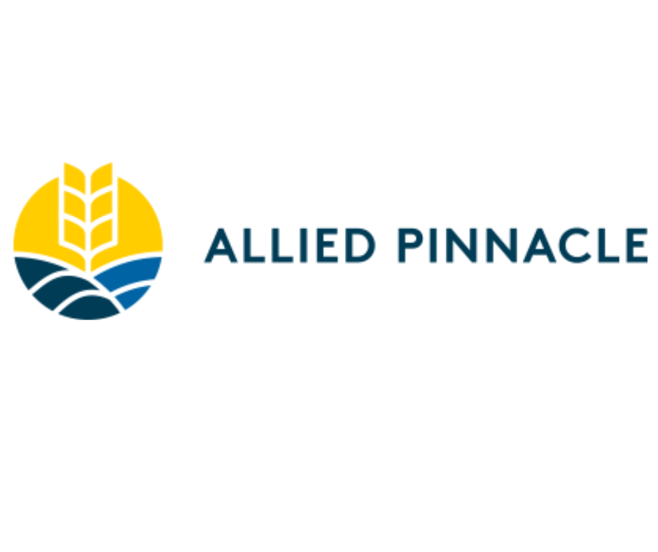 allied pinnacle logo.png