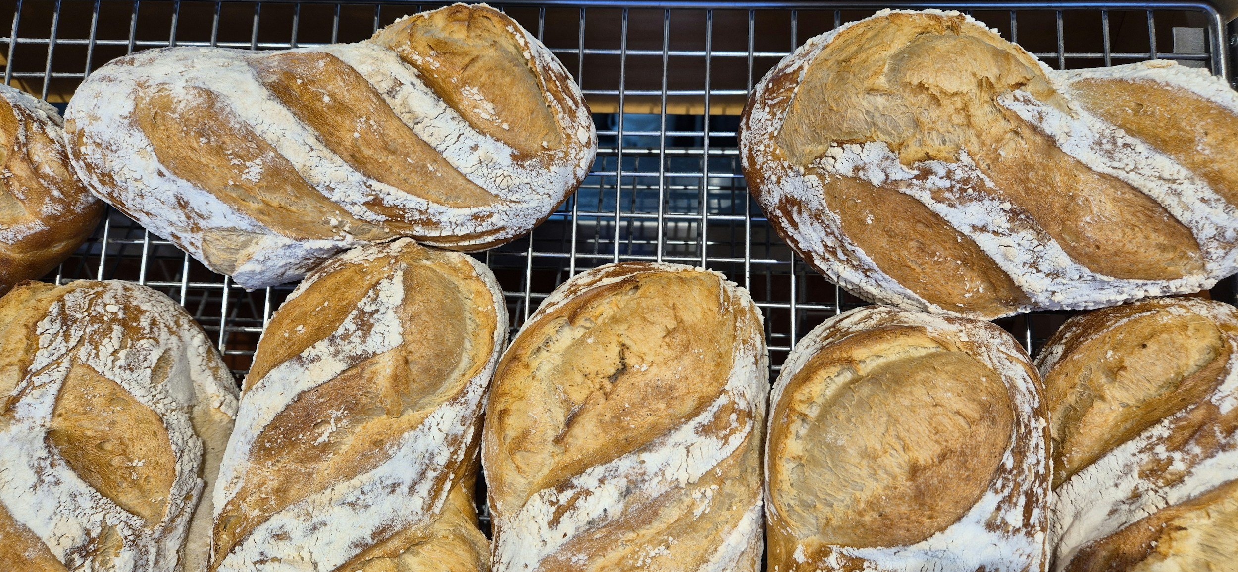 WOLLONGONG BAKING SHOW