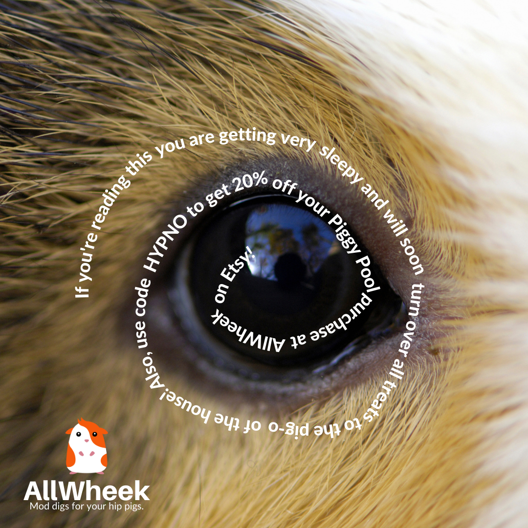 Copy of AllWheek Instagram Posts_2022 (63).png