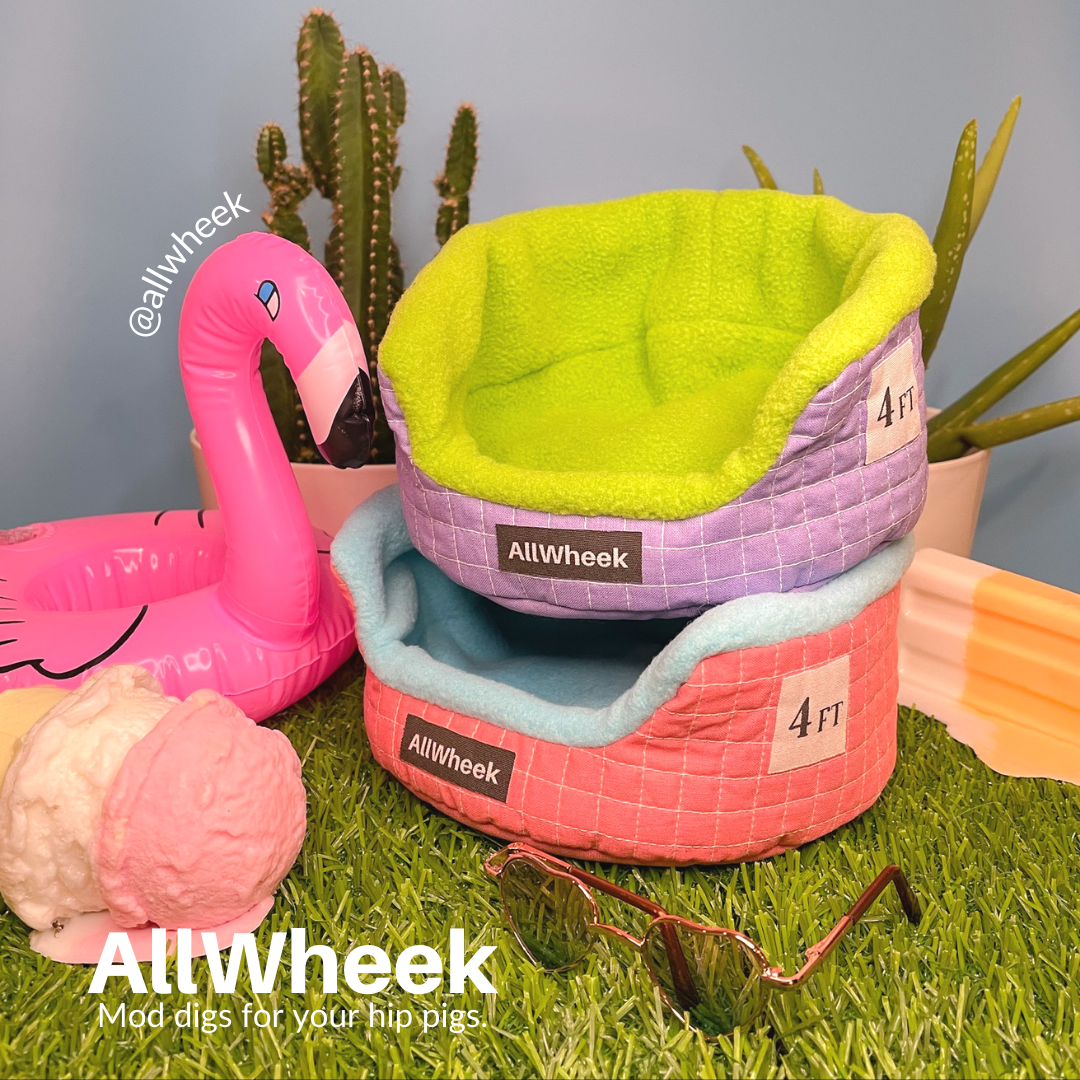 Copy of AllWheek Instagram Posts_2022 (58).png